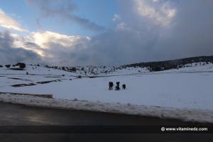 Tlemcen Chutes de neige sur les hauteurs de la Wilaya (Sebdou, Tirni, Beni Smiel)