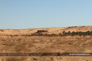 Ksour épars et méconnus entre Ksar Keddour et El Hadj Guelmane (Gourara - Timimoun)