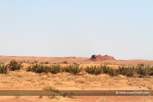 Basalem  Les Ksour perdus du Gourara (entre El Hadj Guelmane et Ksar Kaddour)