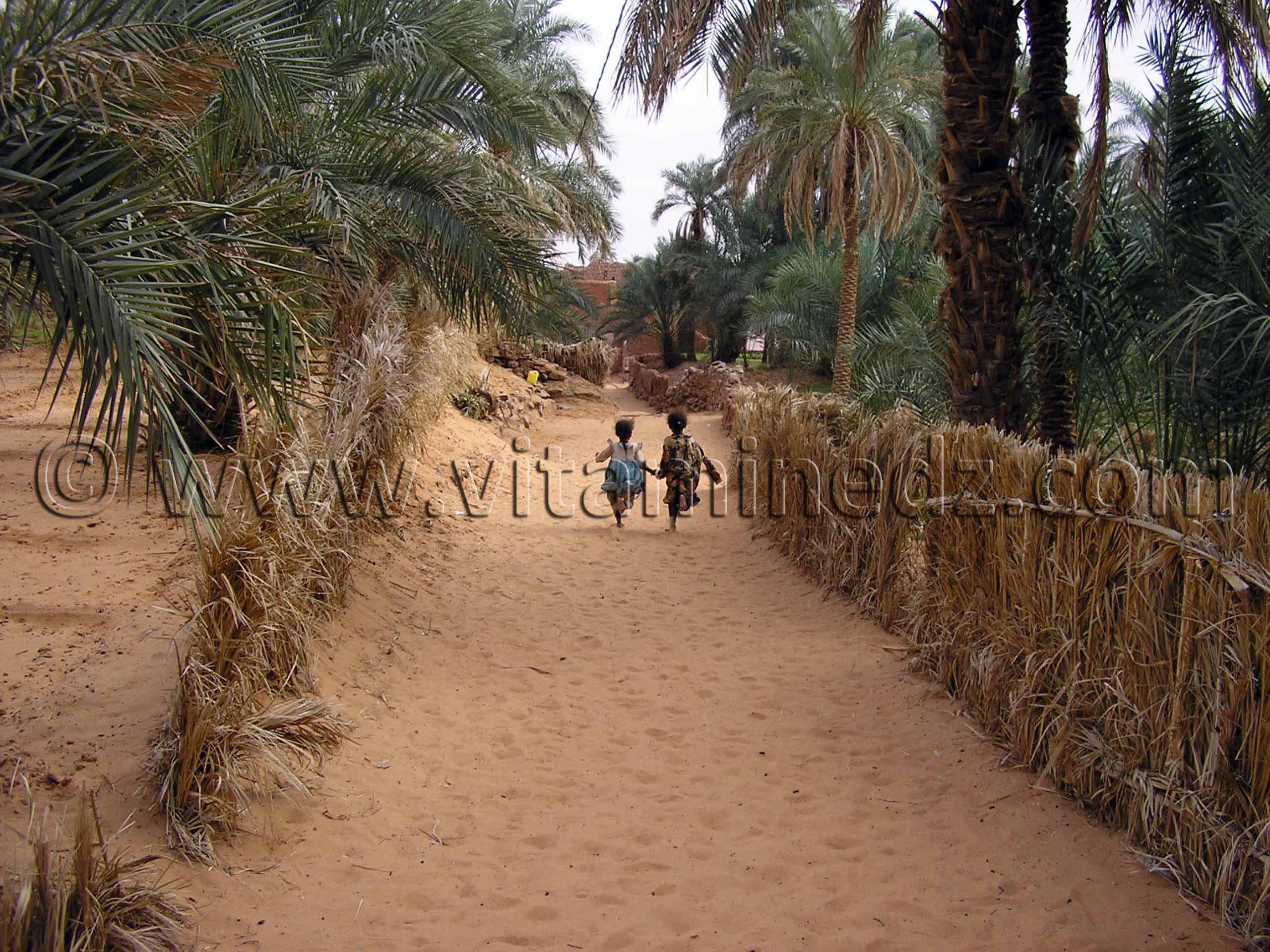 Oasis de Tala, véritable havre de paix, en 2006 le bitume n'y arrivait pas encore