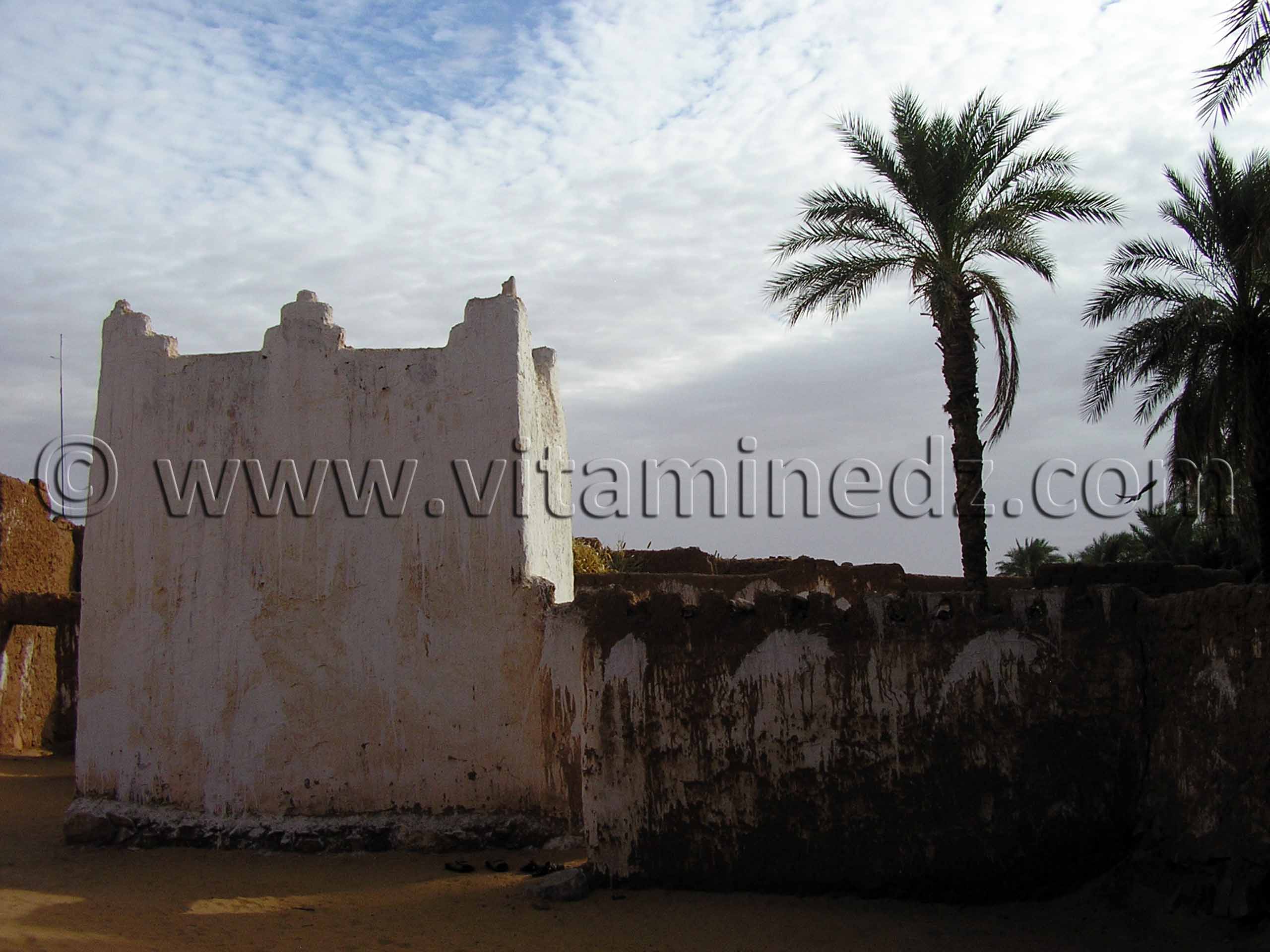 Marabout Oasis de Tala, véritable havre de paix