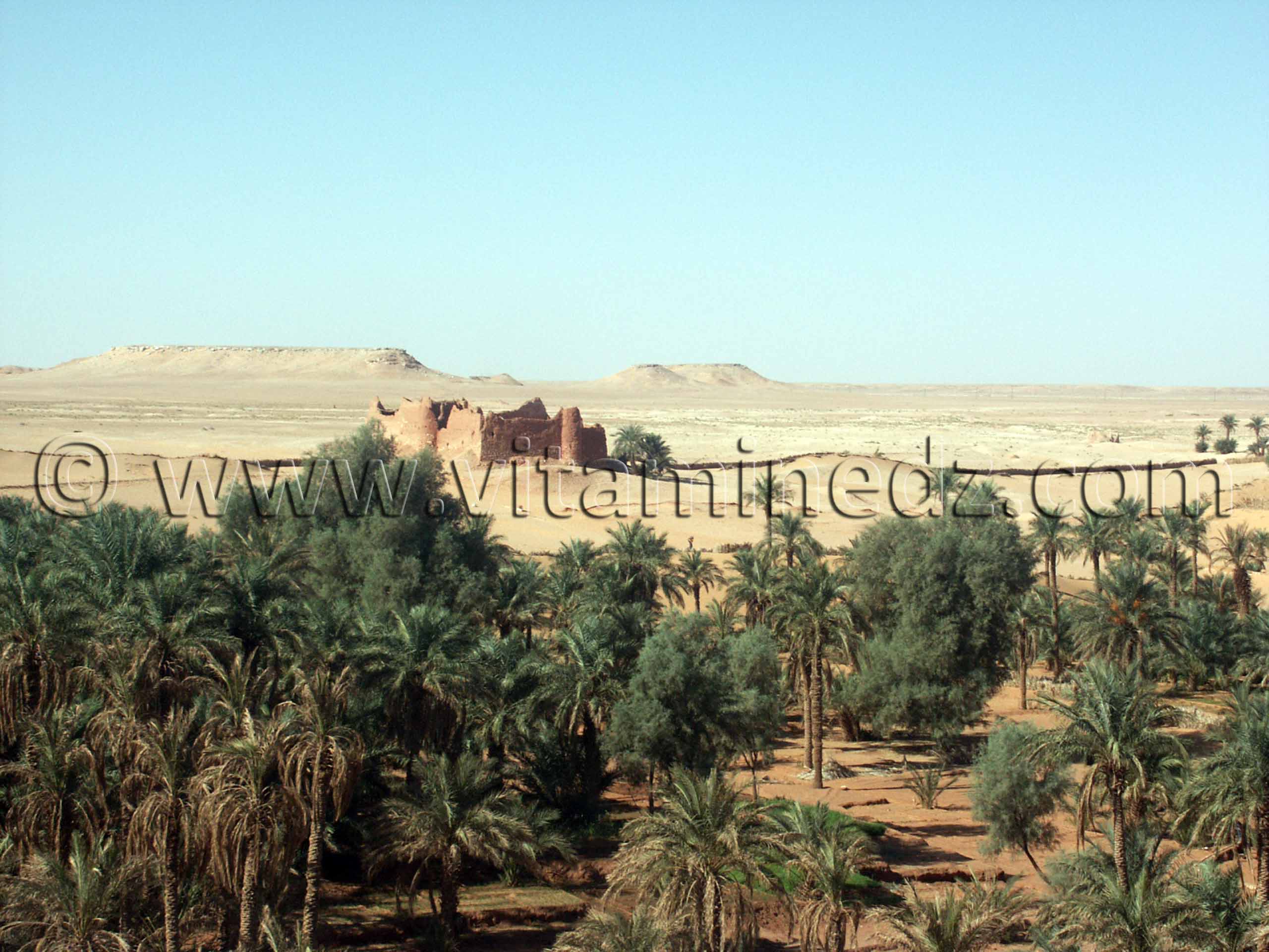 Oasis de Guentour et ses Ksour abandonnés