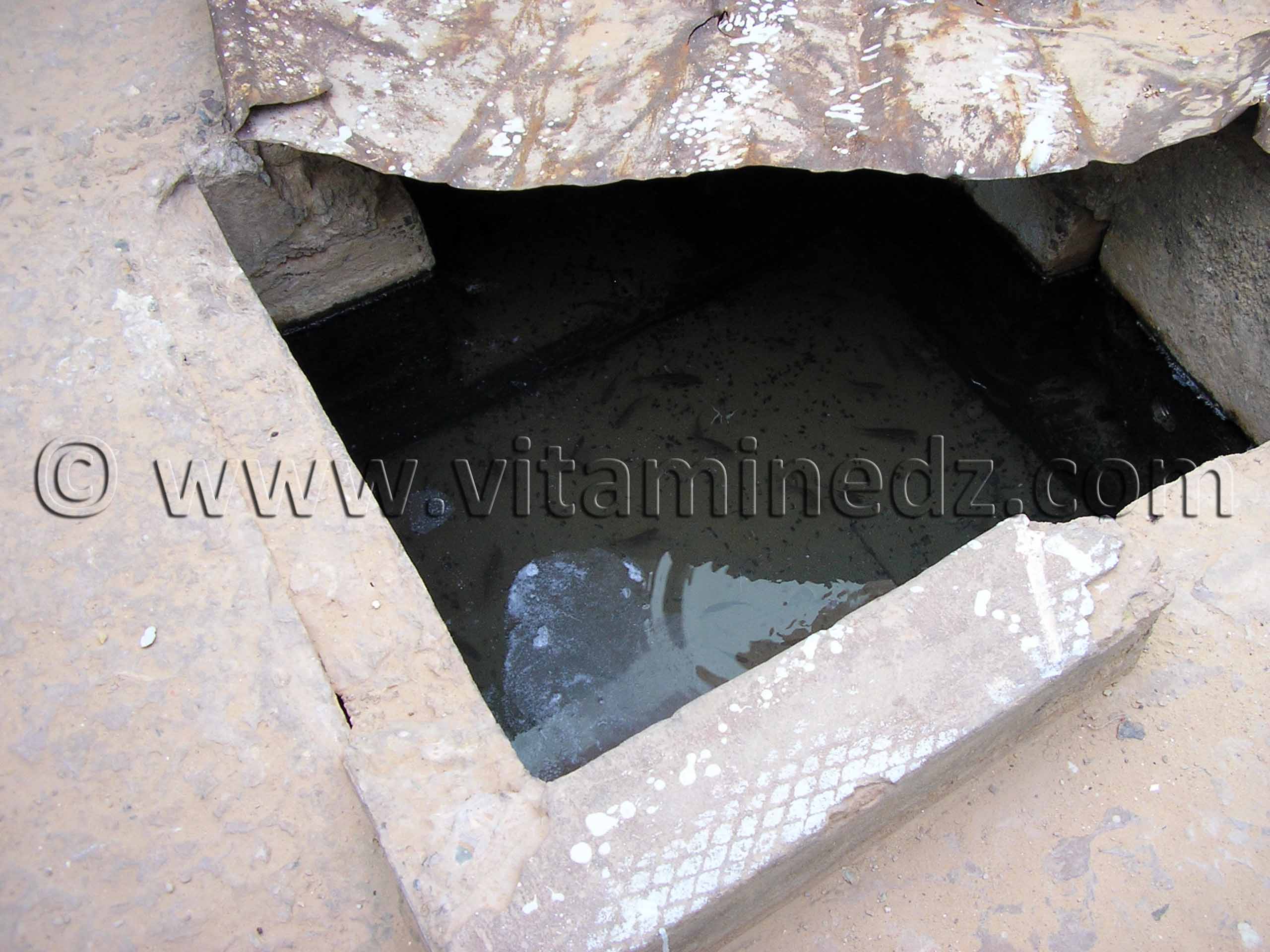 Ain Bouda (Adrar), aux vertues thérapeutiques, malheureusement mal entretenue