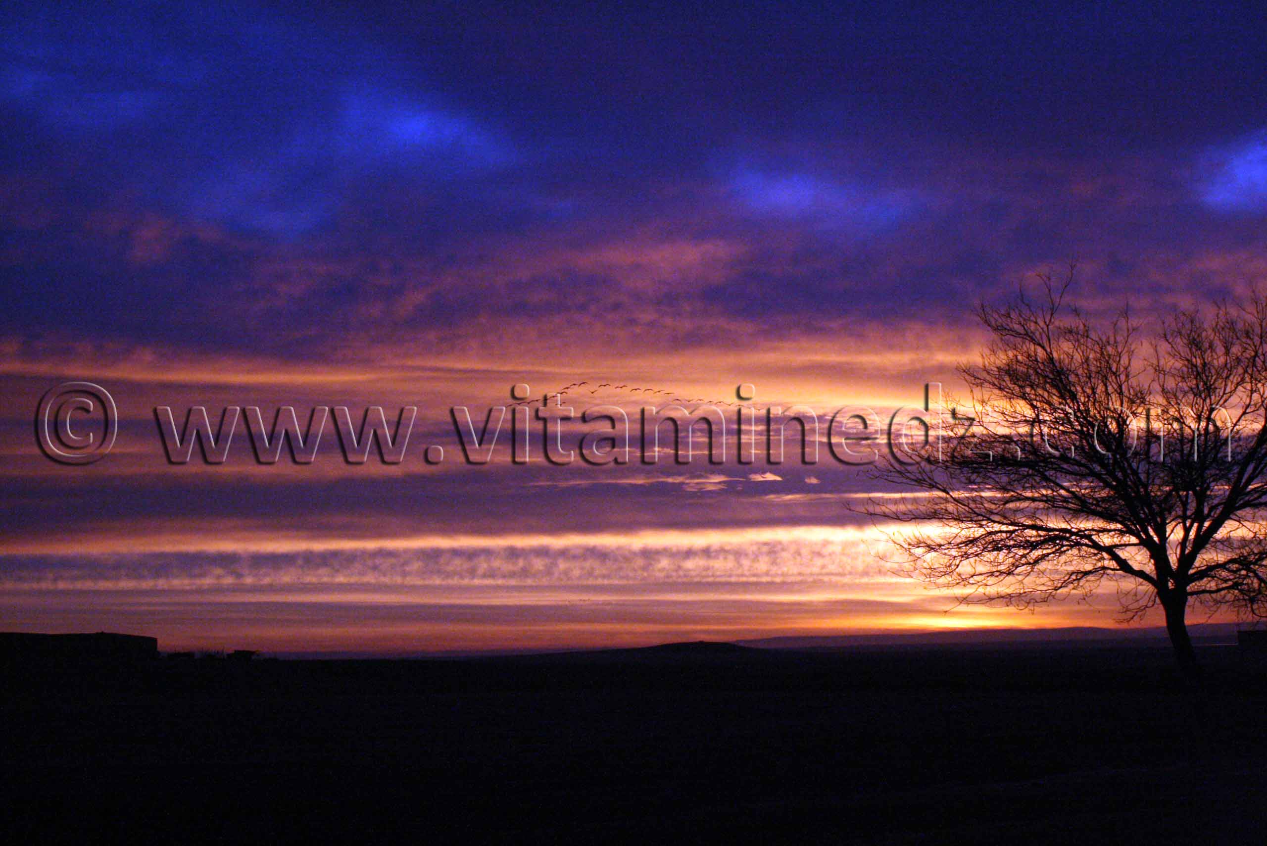 Route vers le Sud, Mekman Ben Amar Ain Sefra, Moghrar ...