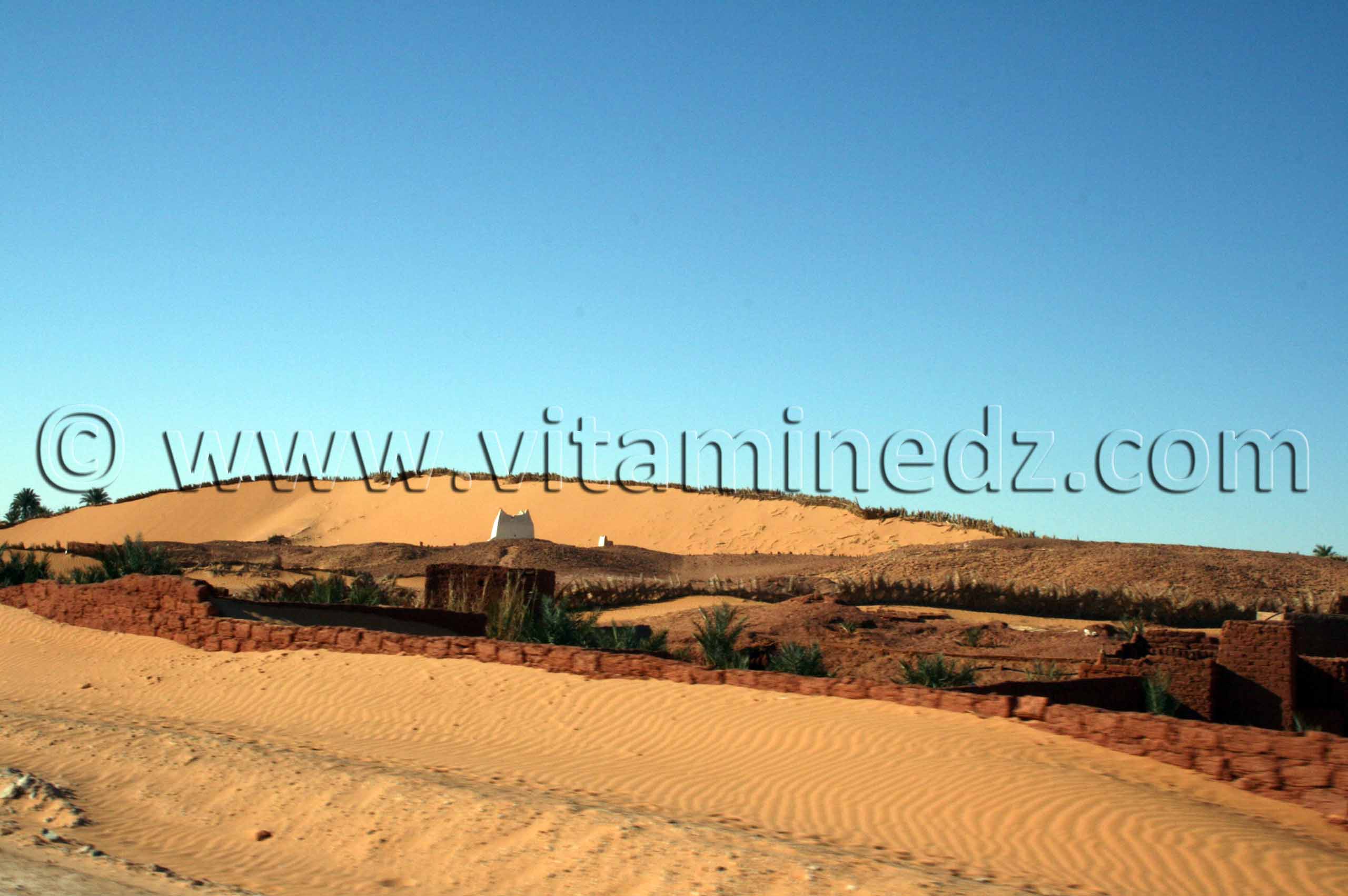 Village de Tassfaout (Gourara)