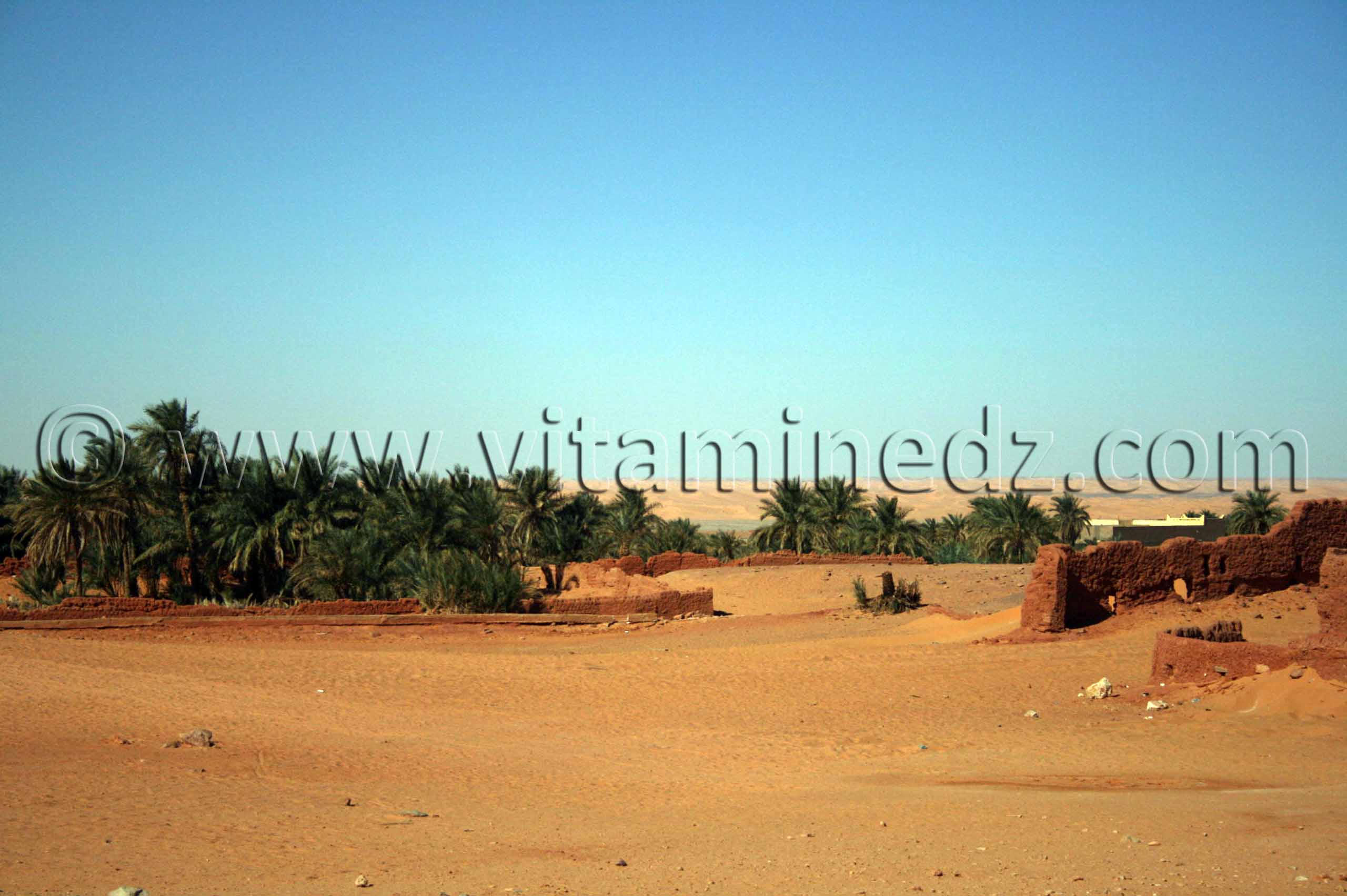 El Hofra, Zaouiet Chikh El Hadj Belkacem a Beni Mehlel (Timimoun)