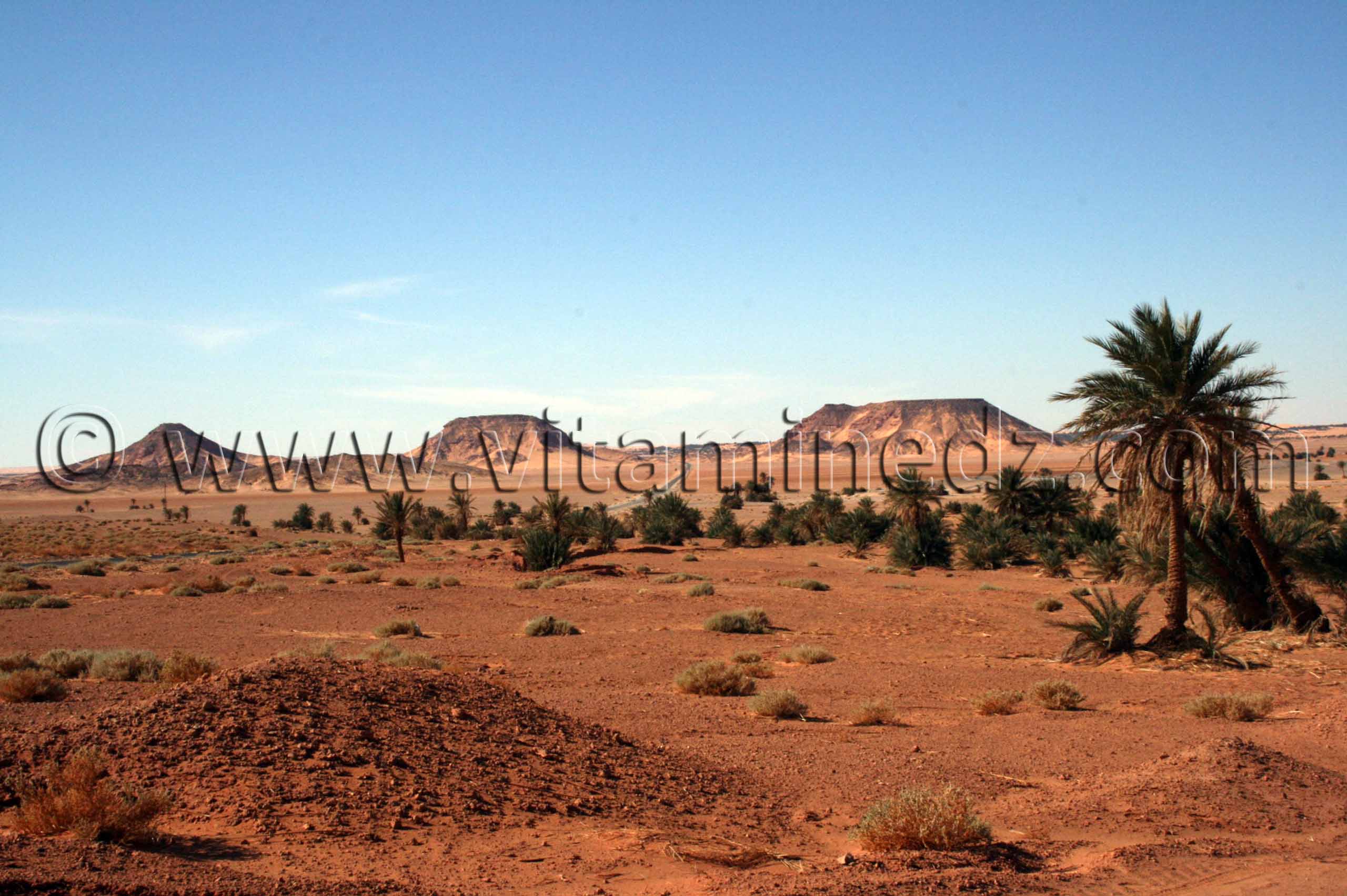 Commune de Ouled Said