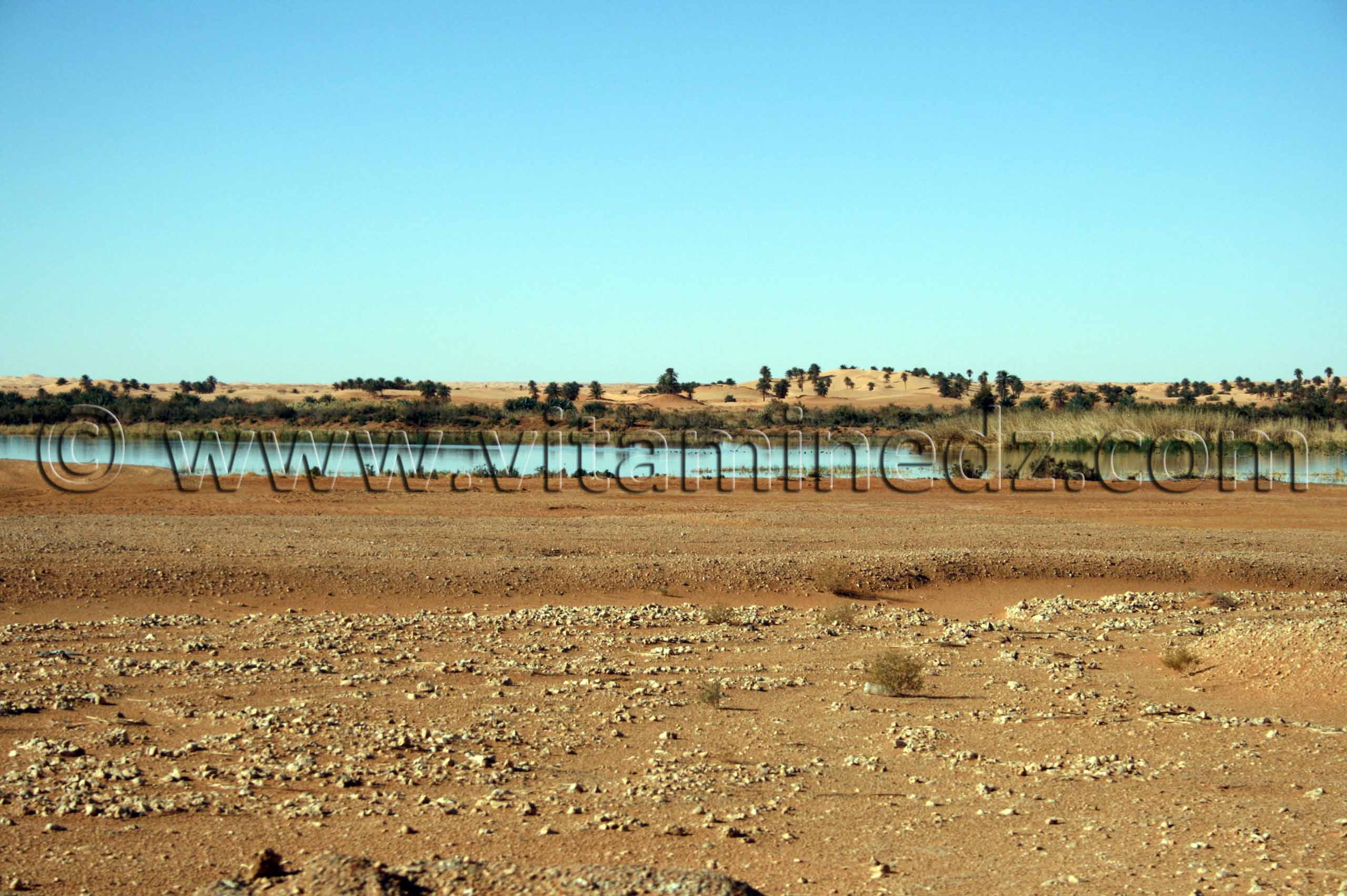 le lac Hassi El Gara à El Ménéa (El Golea)