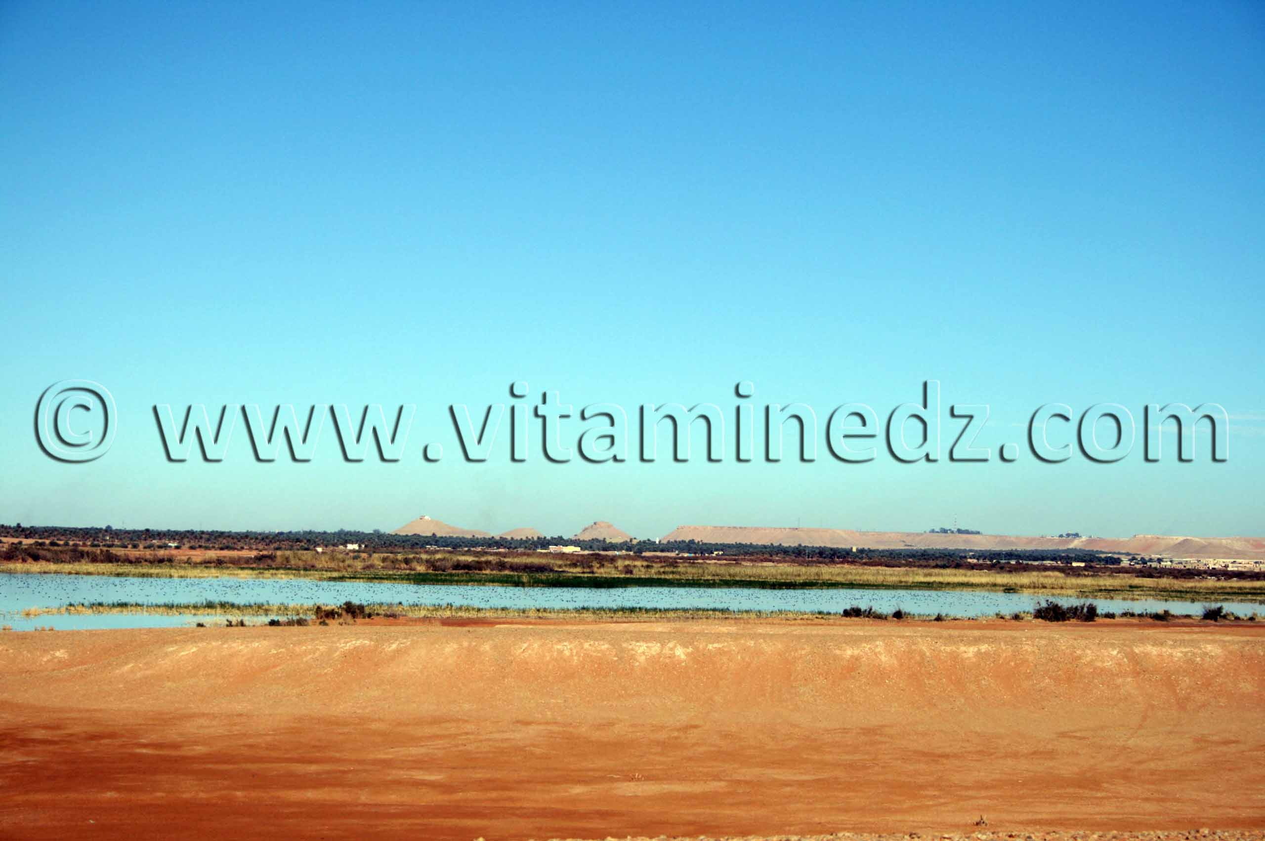 le lac Hassi El Gara à El Ménéa (El Golea)