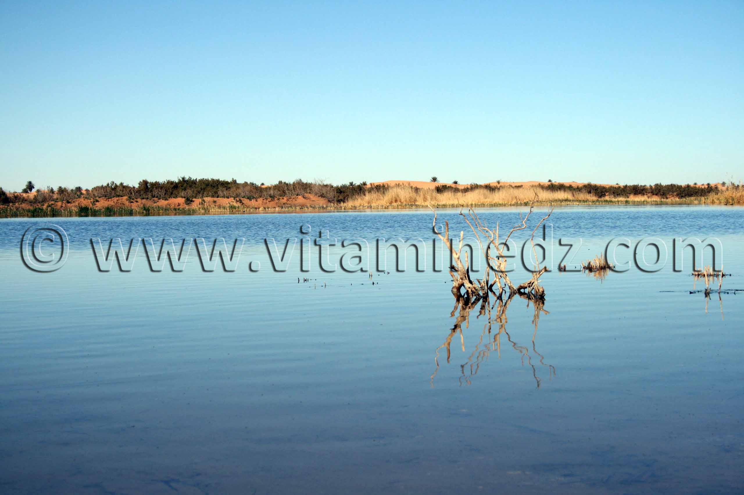 le lac Hassi El Gara à El Ménéa (El Golea)