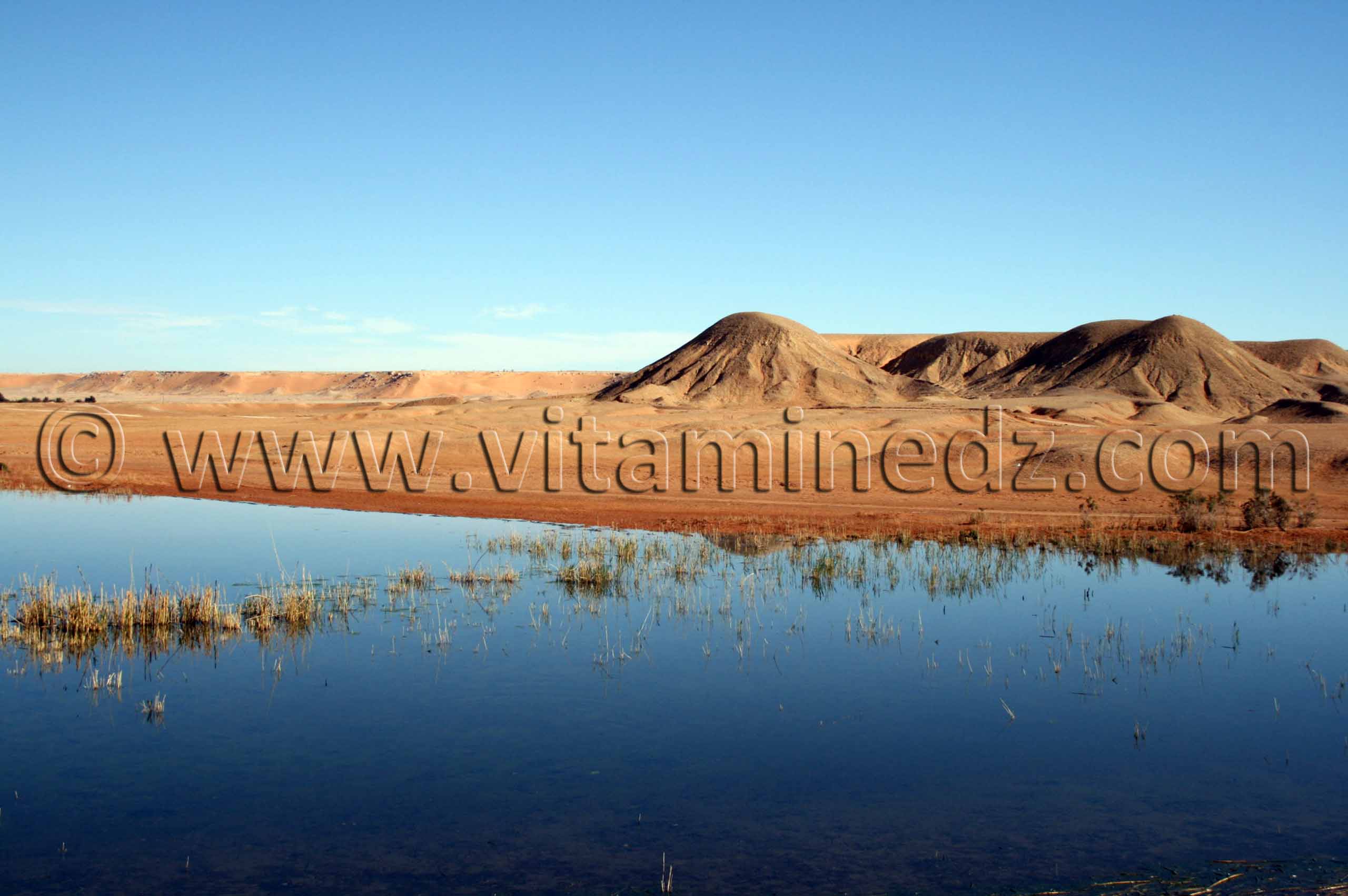 le lac Hassi El Gara à El Ménéa(El Golea)