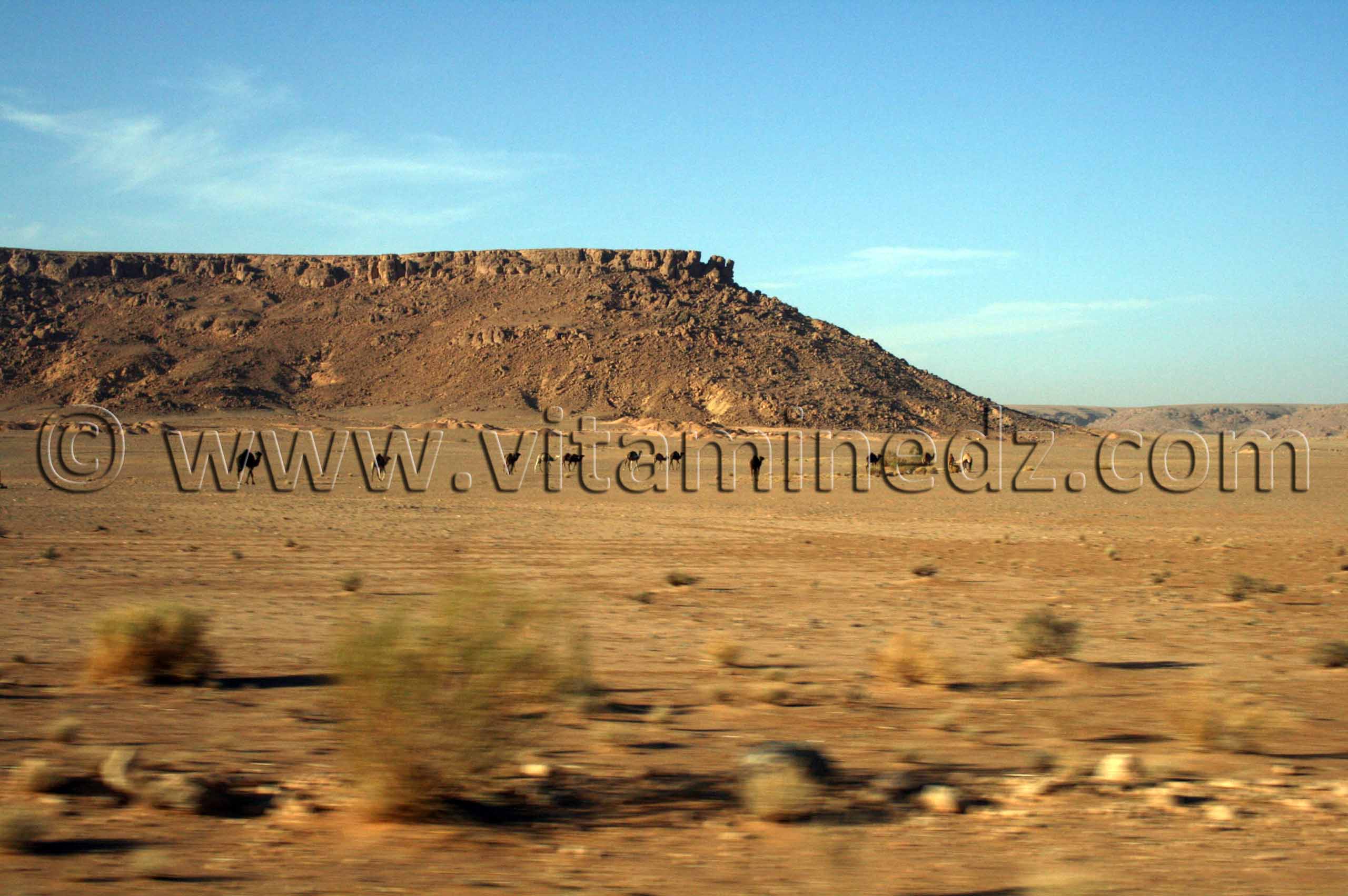 Metlili Chaamba, une zone aride inhospitalière