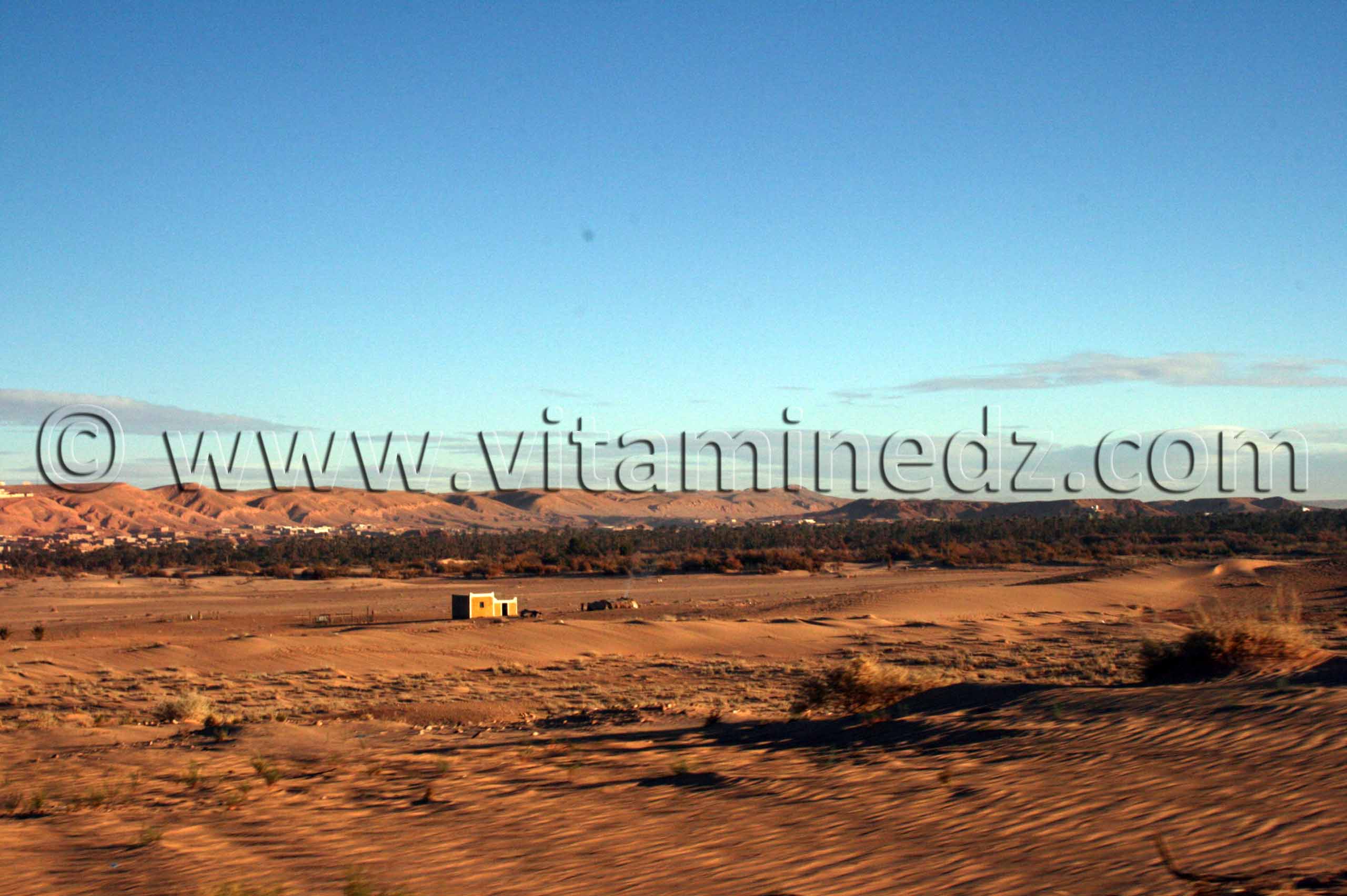 Brezina, palmeraie, barrage, chameau ... une région riche mais mal exploitée