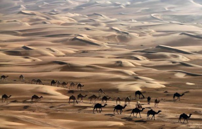 Planète - 2014 a été l'année la plus chaude jamais enregistrée sur le globe