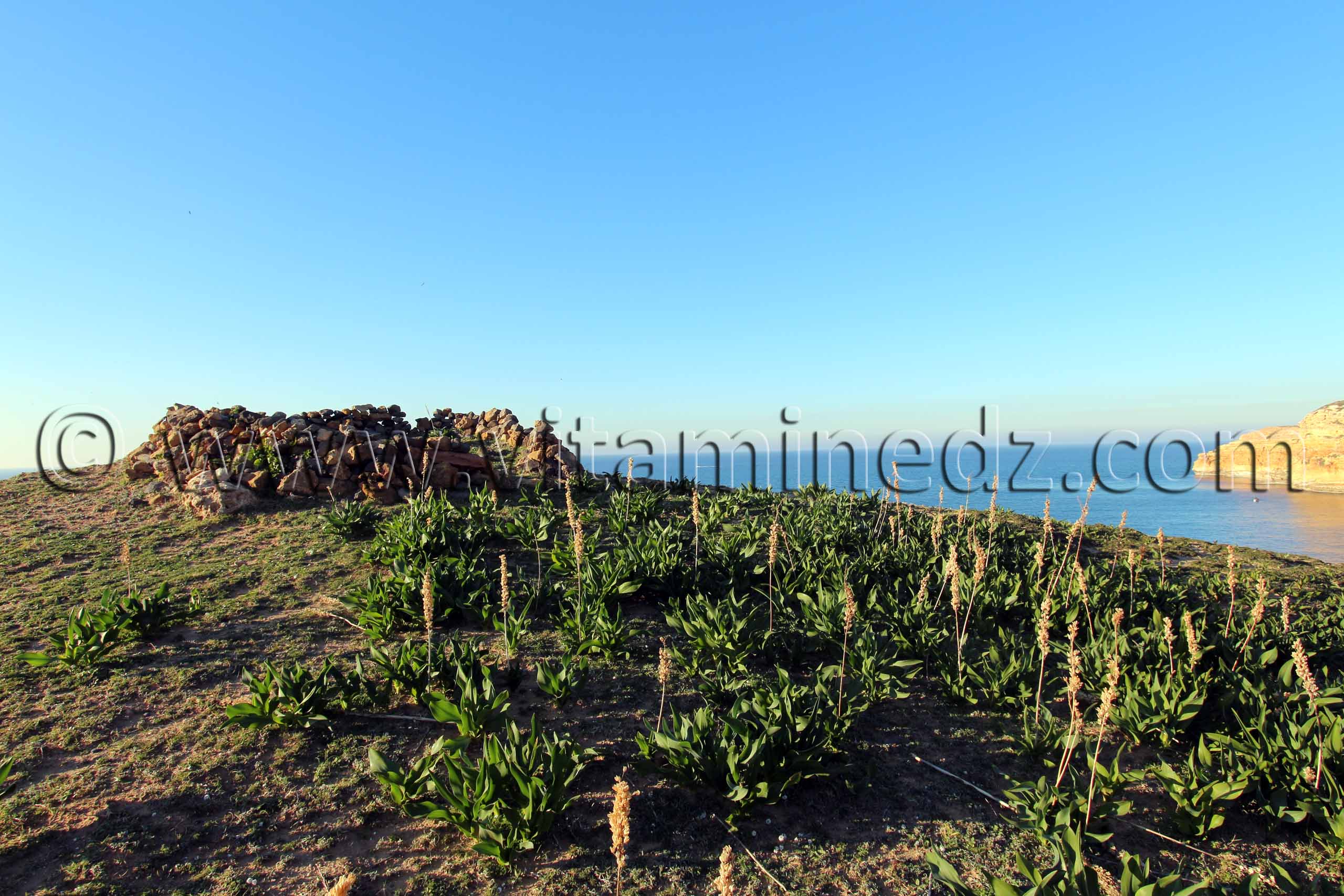 Sidi Bellakhal, supplombant la Plage de Zouanif