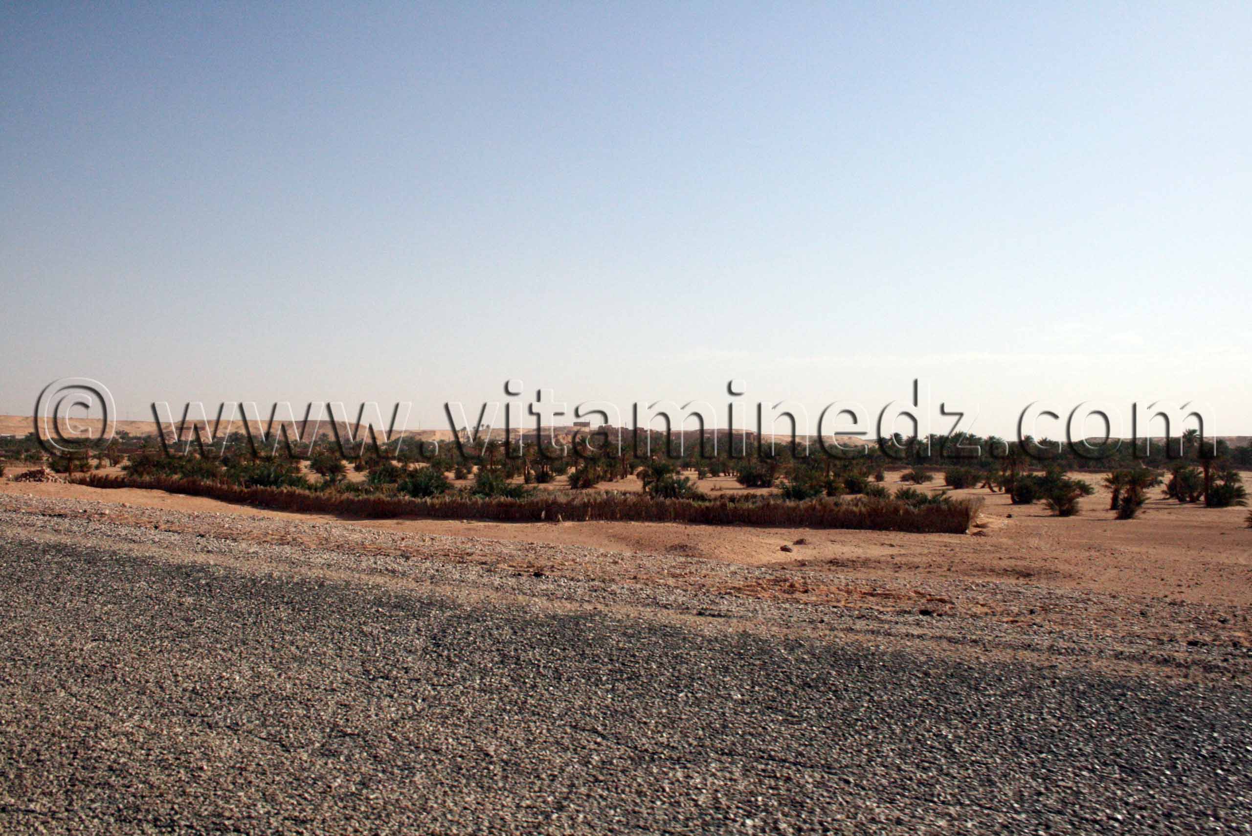 Taourirat, Commune de Charouine, wilaya d'Adrar