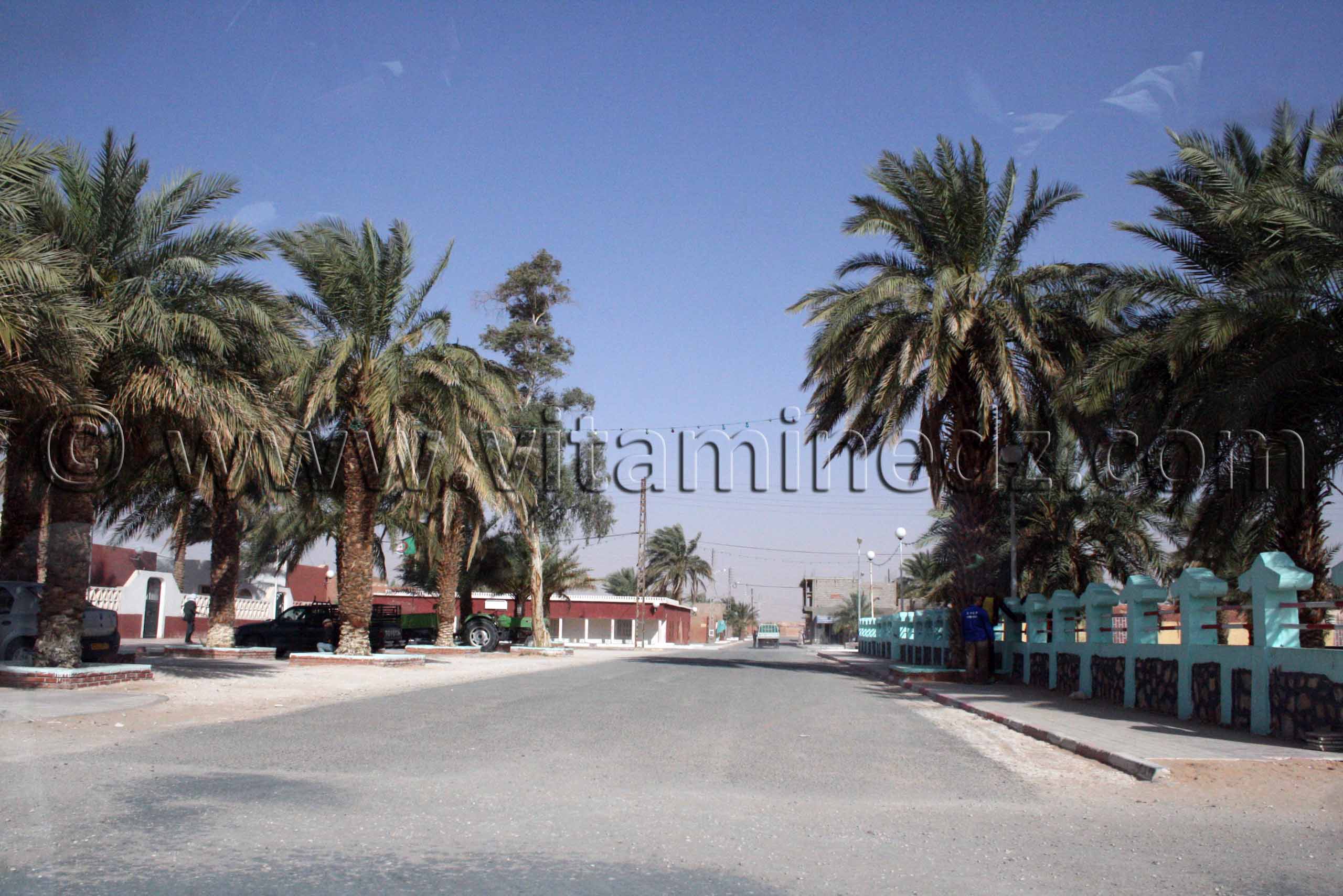 village de Charouine, wilaya d'Adrar