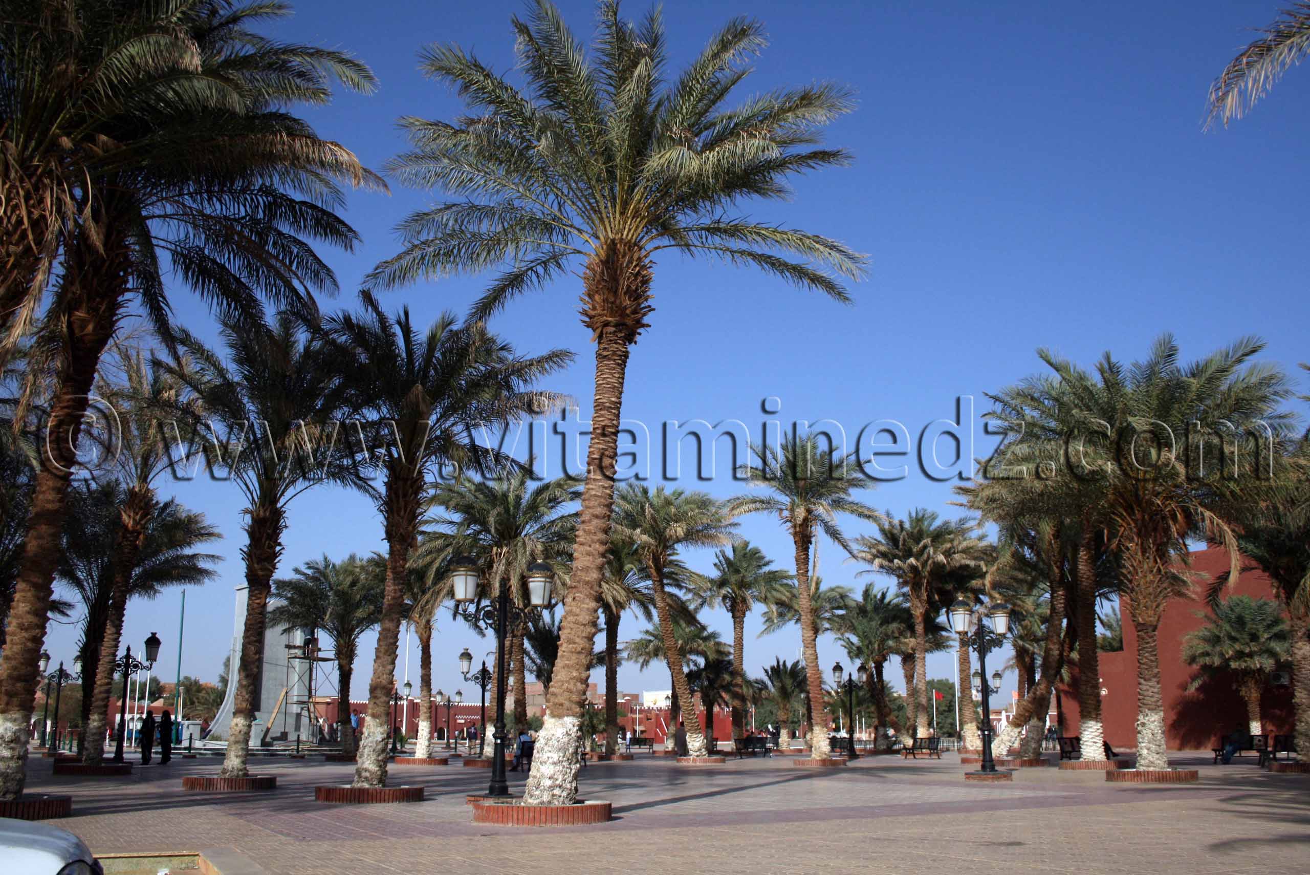Place des Martyrs à Adrar, capitale du Touat