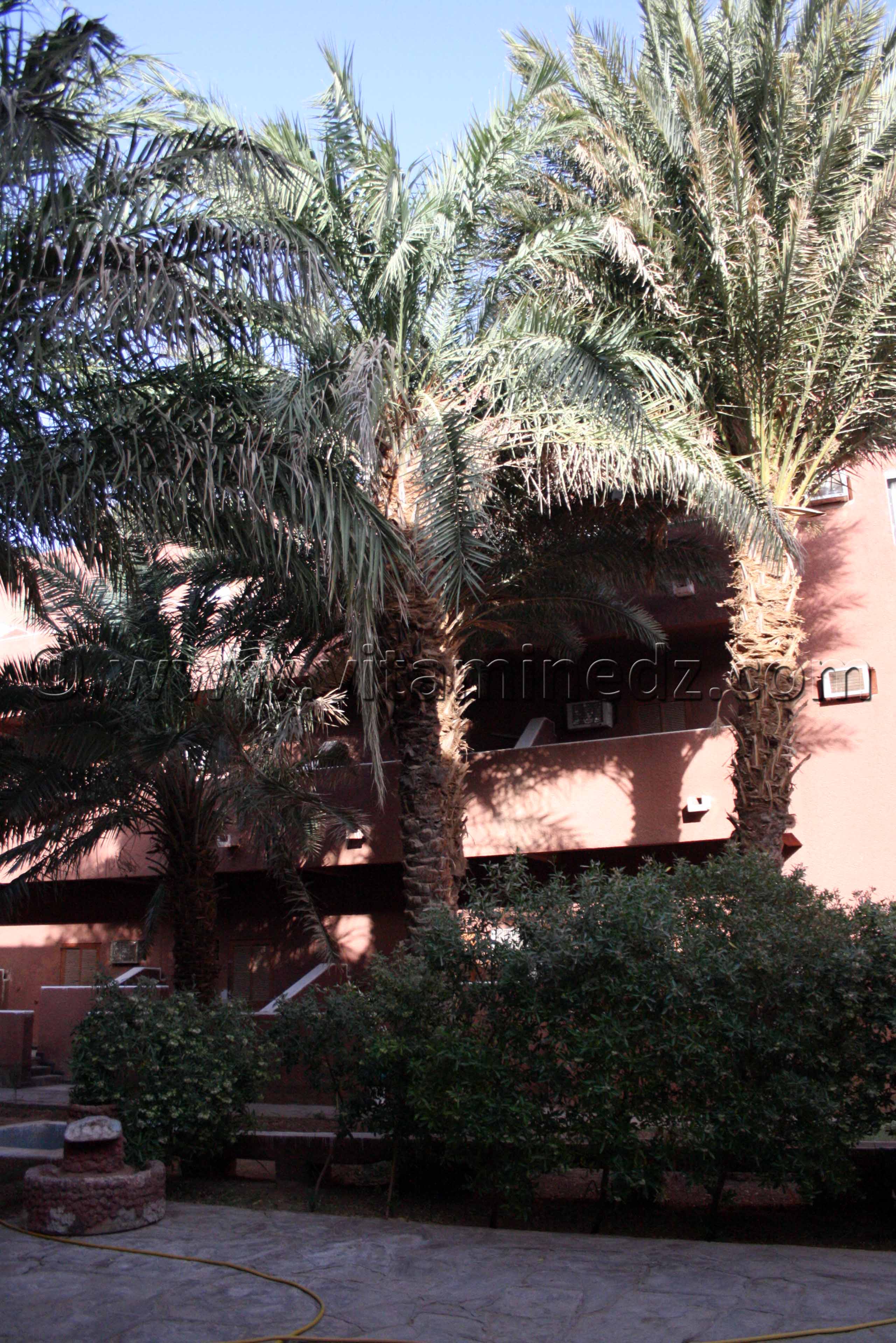 Hotel Touat Adrar