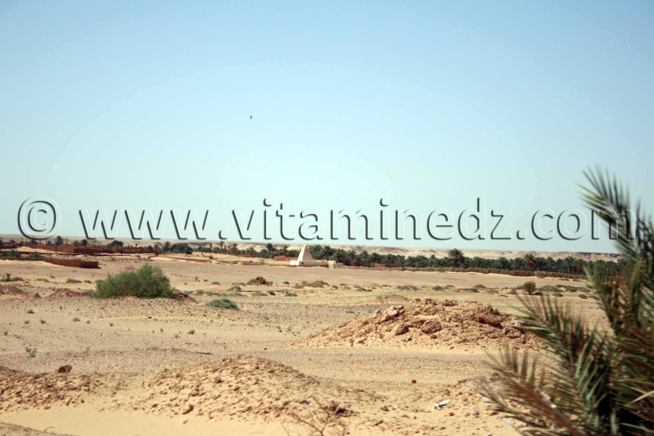 Ksar Djedid, Commune de Tamest, wilaya d'Adrar