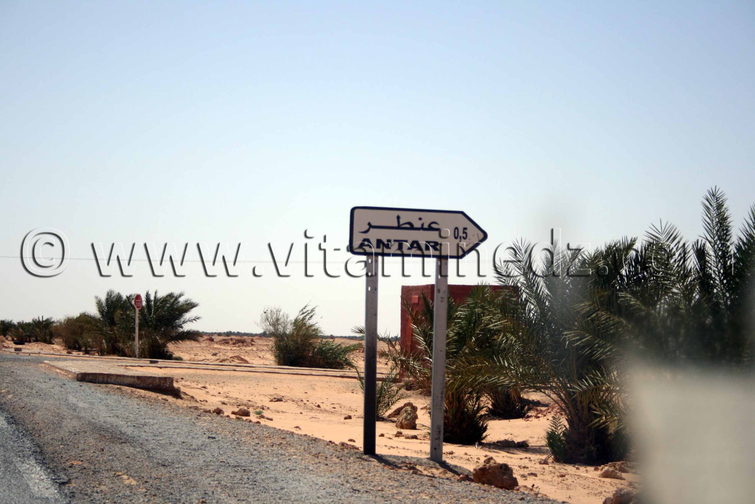 Antar Commune de Tamest, wilaya d'Adrar