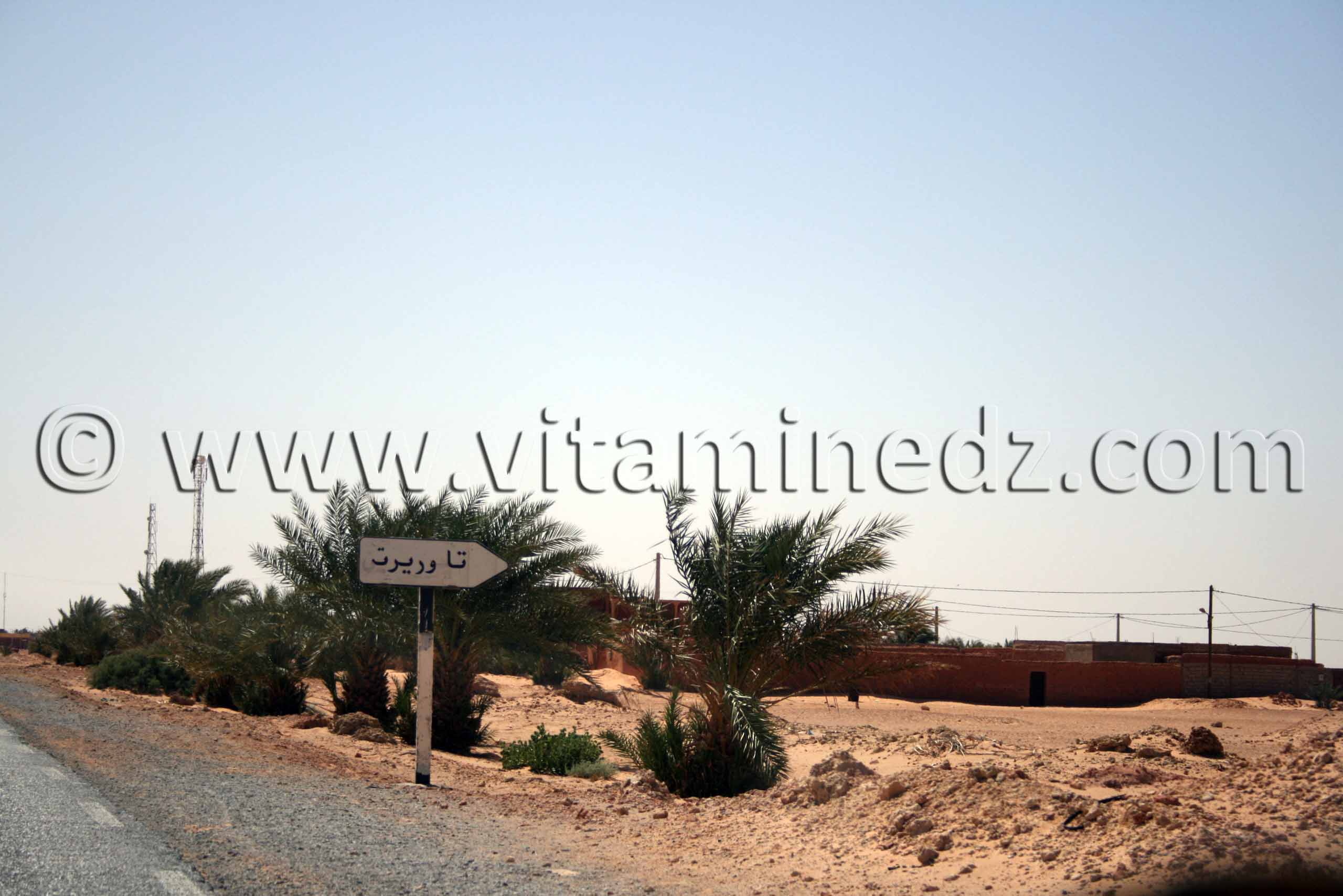 Taouriret Commune de Tamest, wilaya d'Adrar