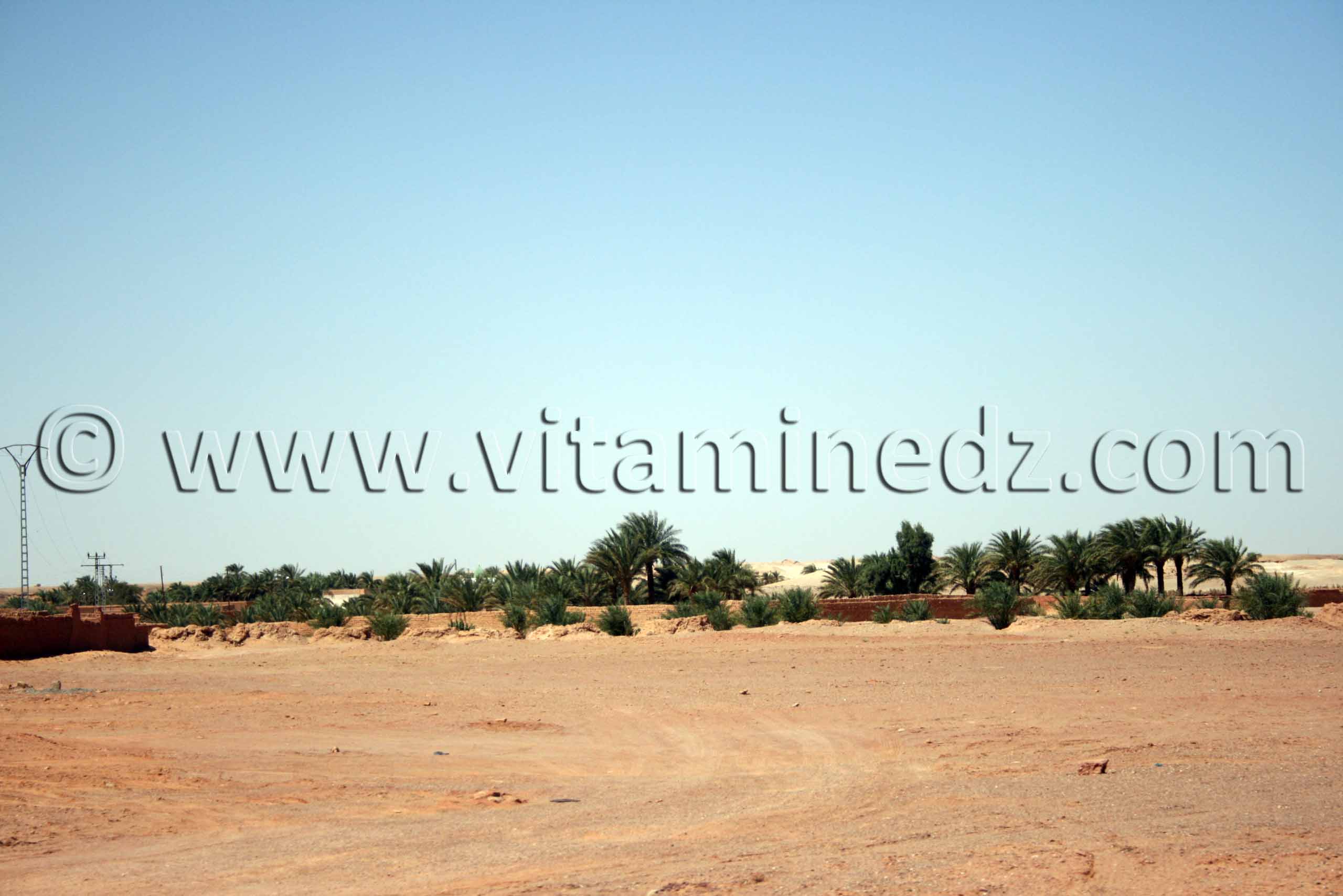 Tiouririne, Commune de Zaouiet Kounta, wilaya d'Adrar