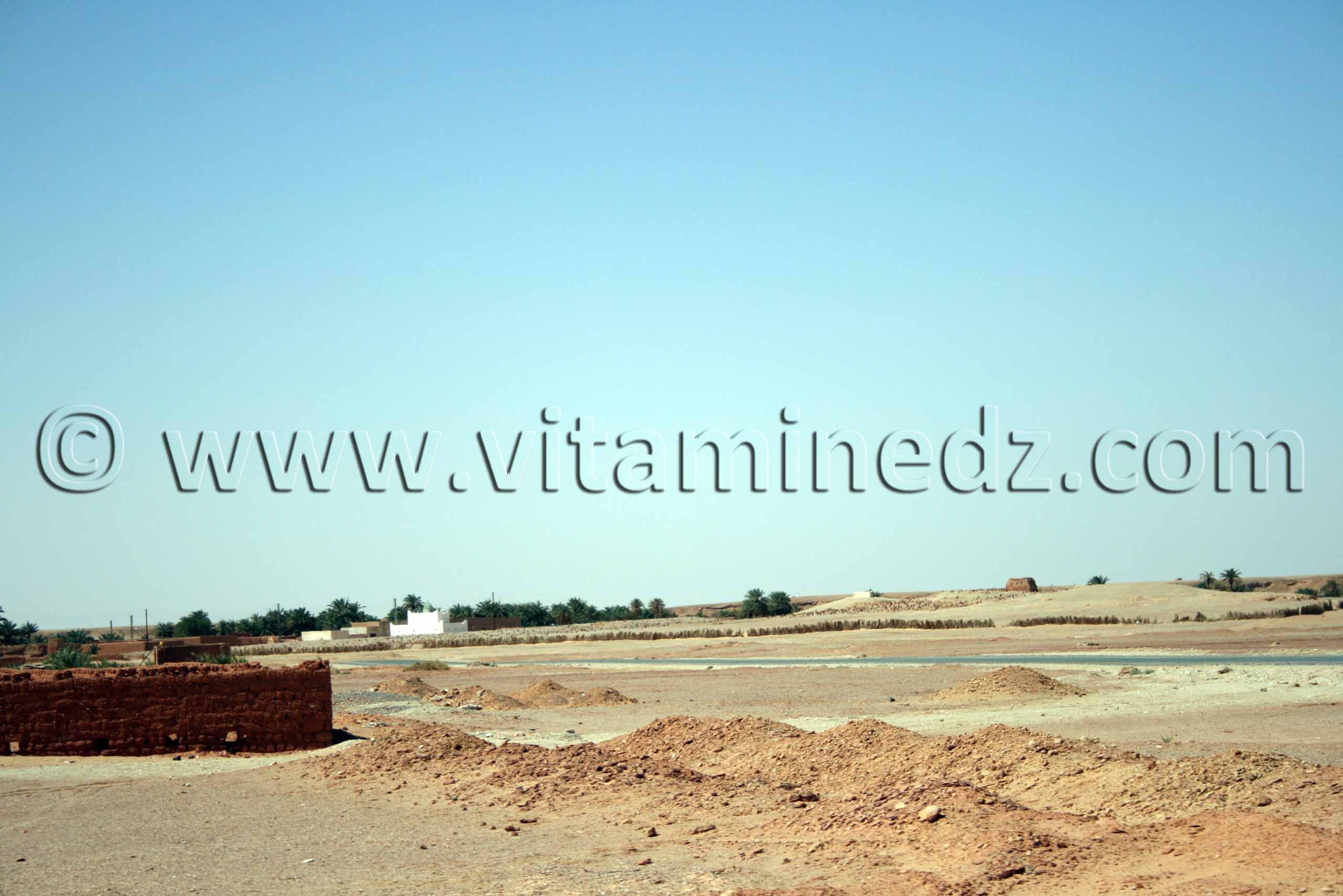 Tiouririne, Commune de Zaouiet Kounta, wilaya d'Adrar