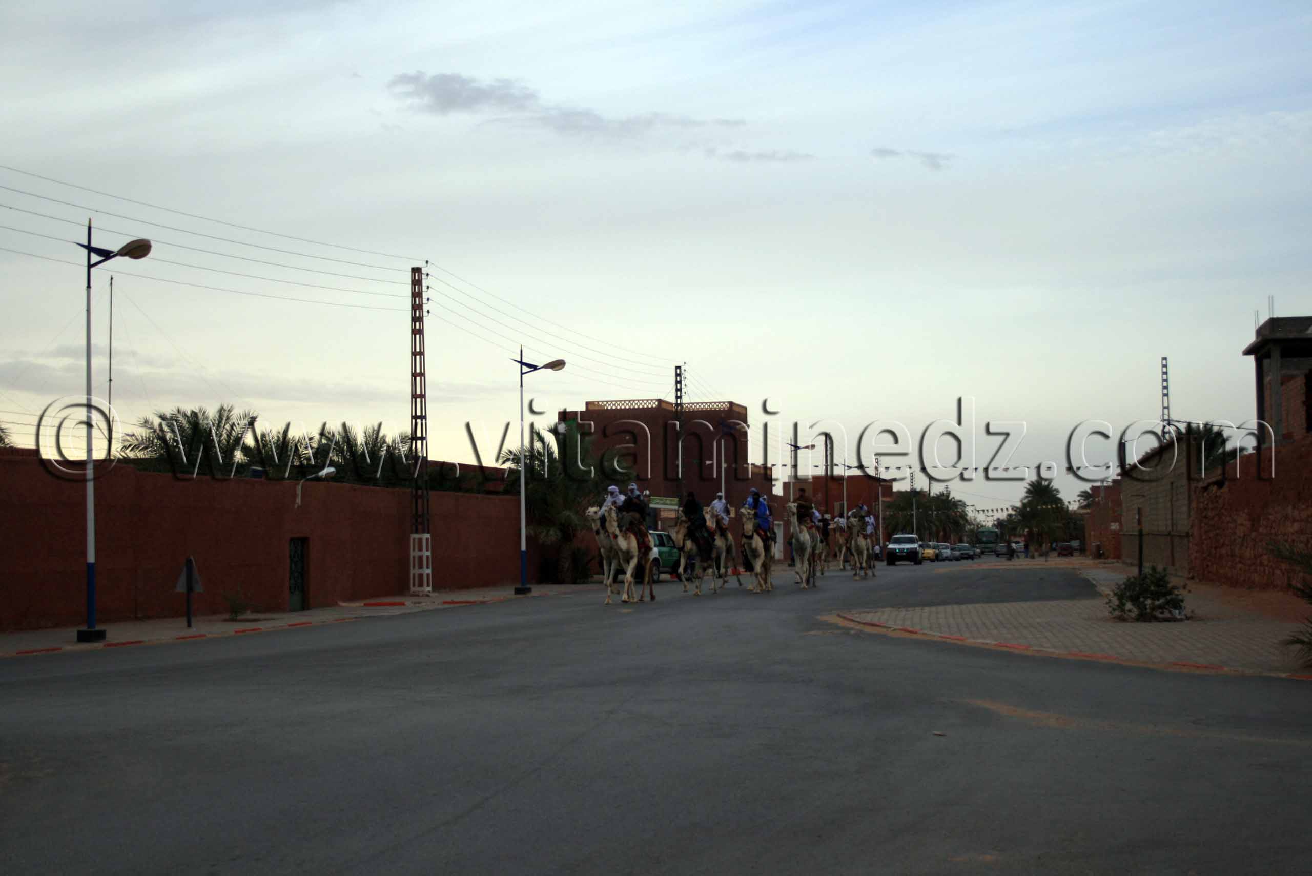 Meharistes à Timimoun