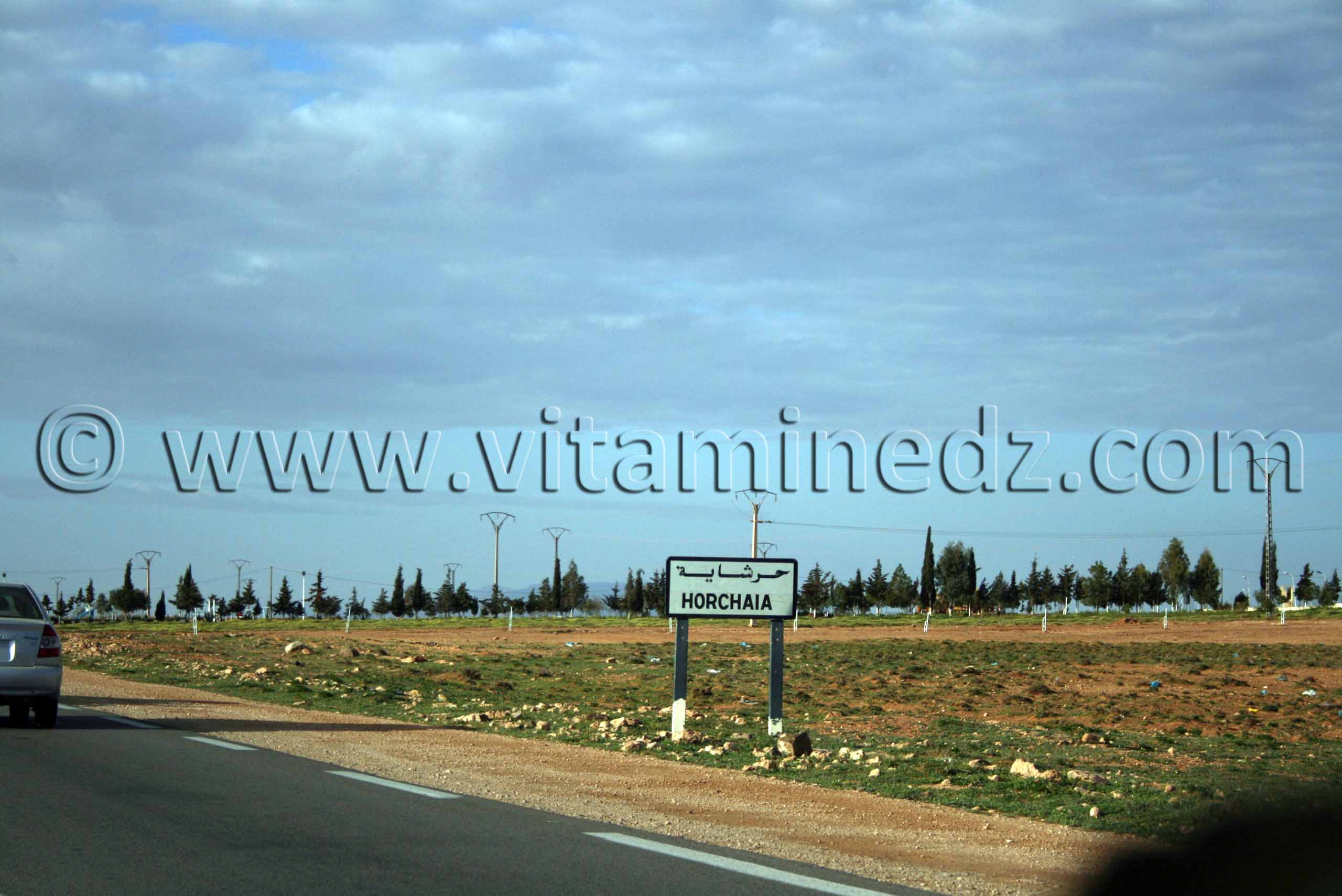 Horaicha, Wilaya de Naama