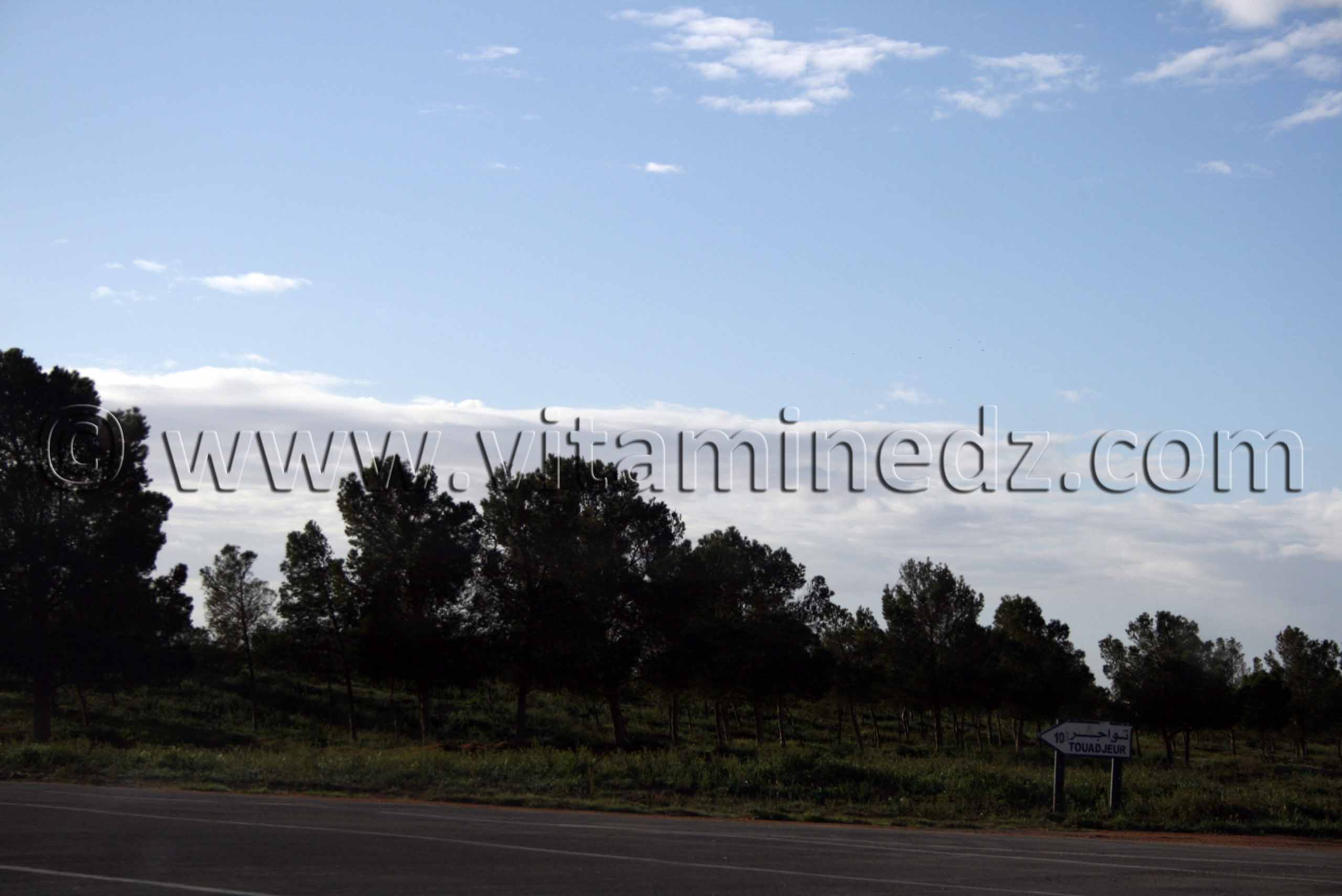 Vers Touadjeur, Wilaya de Naama