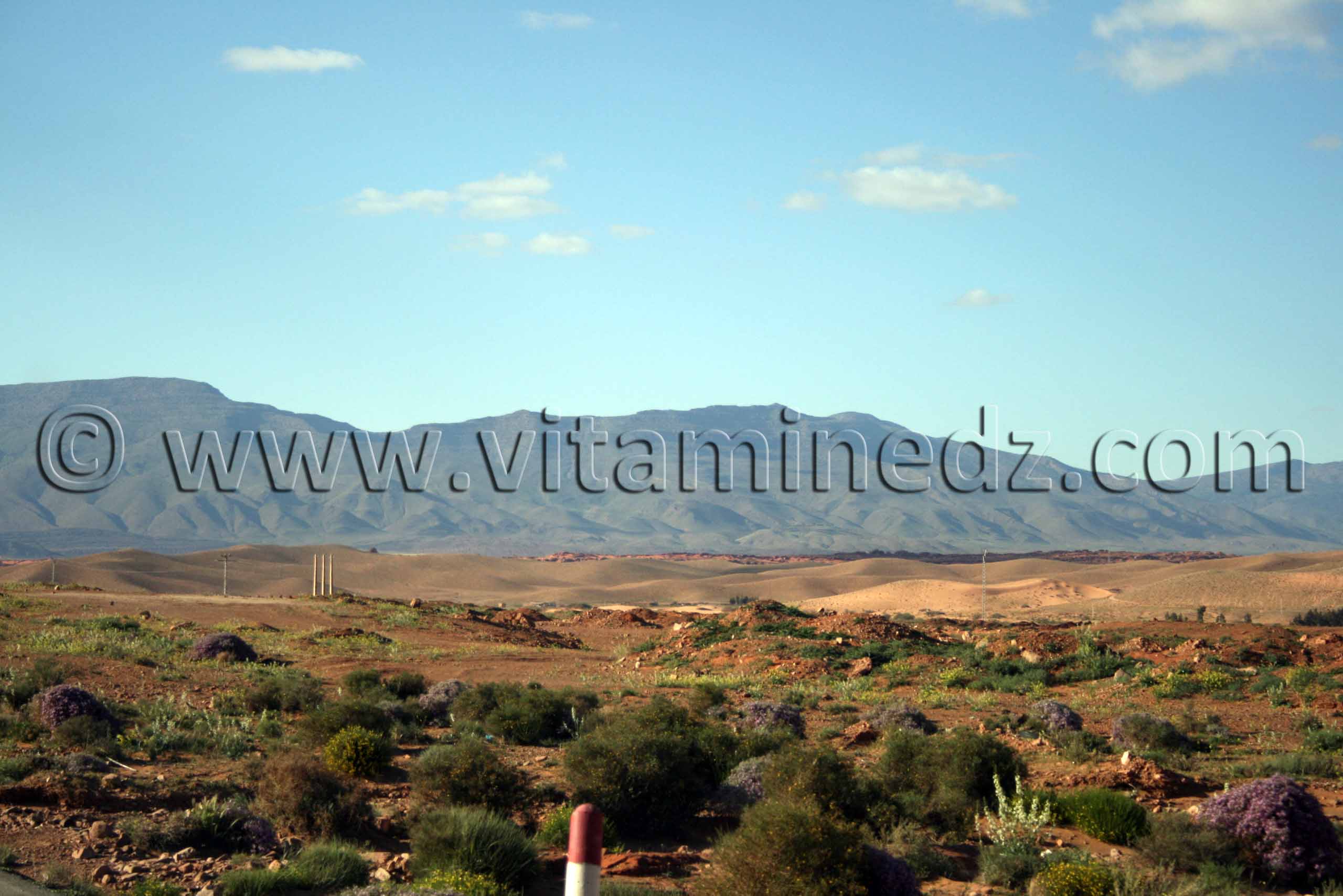 Djbel Antar, Wilaya de Naama