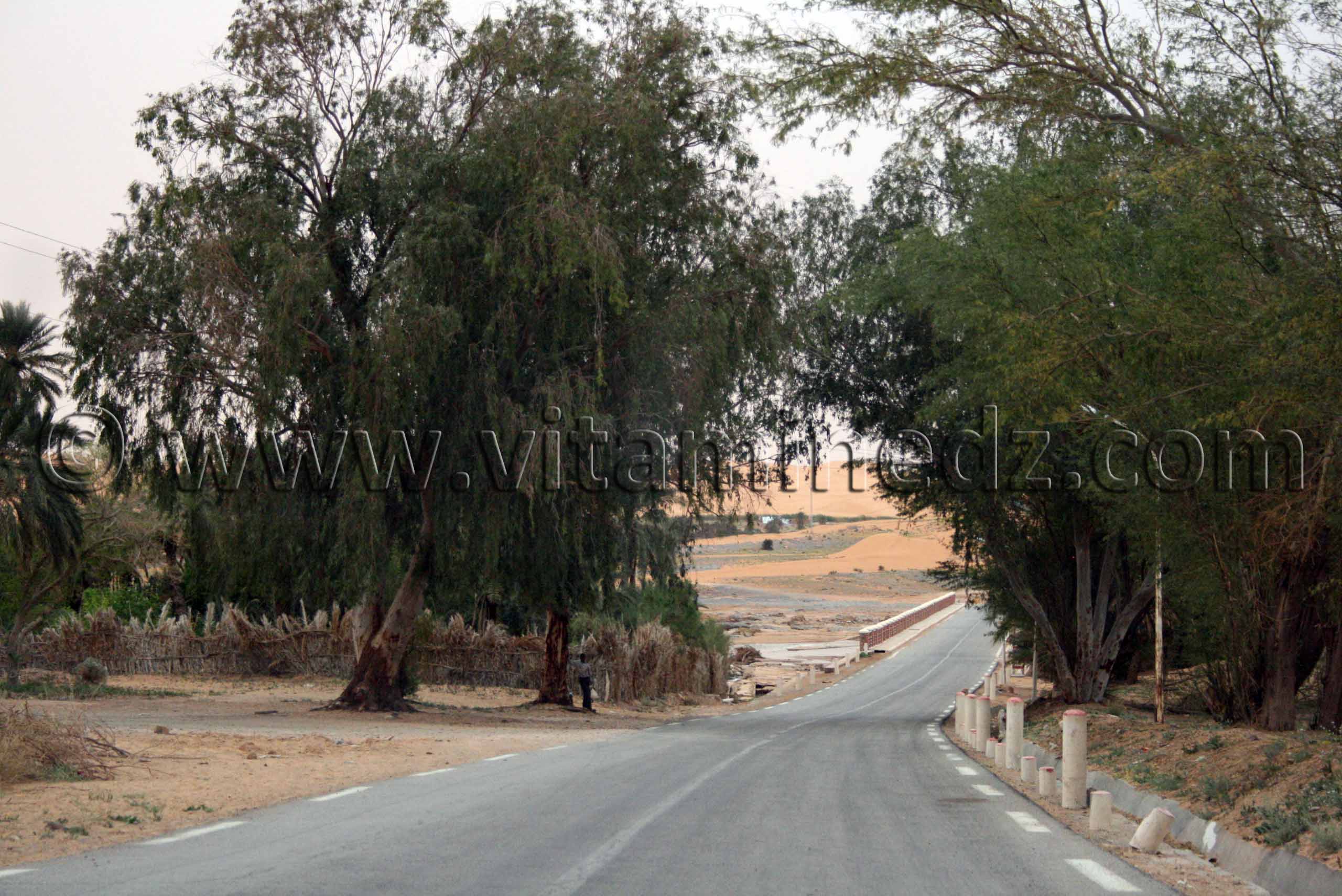 Oued Saoura à Igli, Wilaya de Béchar