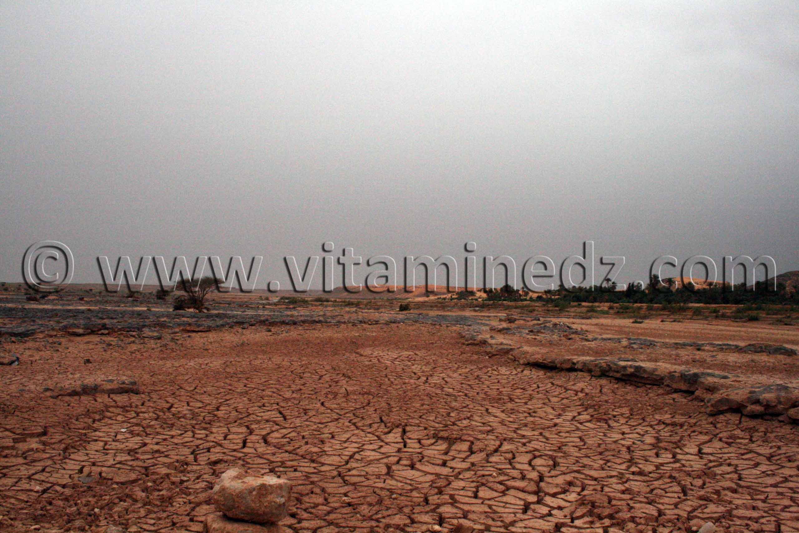 Oued Saoura à Igli, Wilaya de Béchar