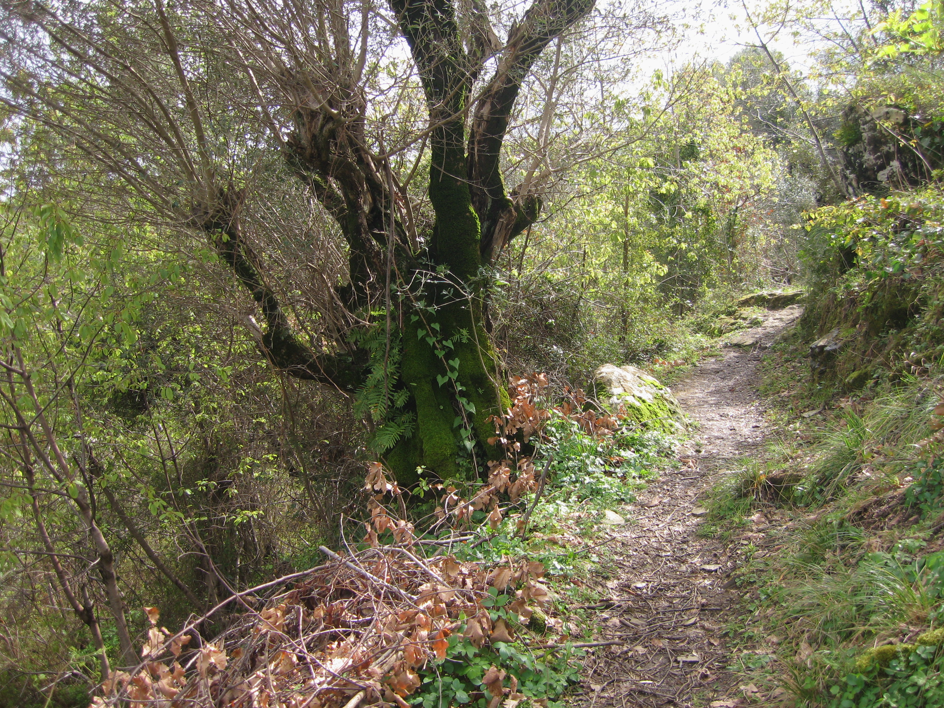 imensorante le beau village