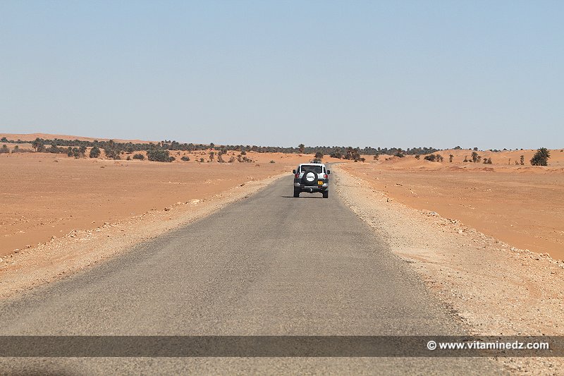 Palmeraie (Istislah) Oasis a Ouled Said (Timimoun)