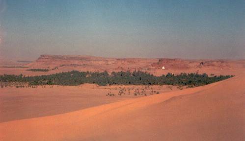 Ksar Tinjillat (Ouled Said - Gourara)