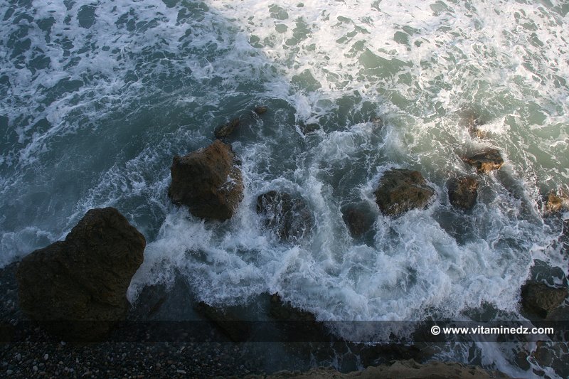Tlemcen - Sidna Youchaa vue du cabanon des Benyahia (aujourd'hui détruit)