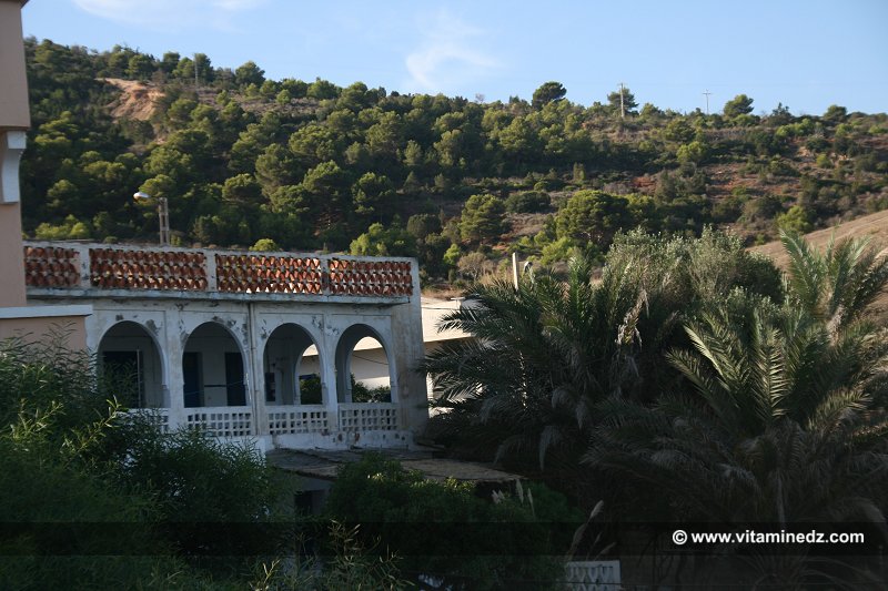 Tlemcen - Sidna Youchaa Vue sur la montagne.