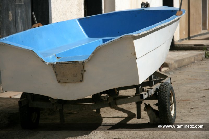 Tlemcen - Sidna Youchaa l'automne; plage à barques.
