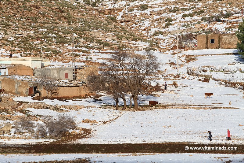 Tlemcen Village de Ghar Boumaaza Chutes de neige