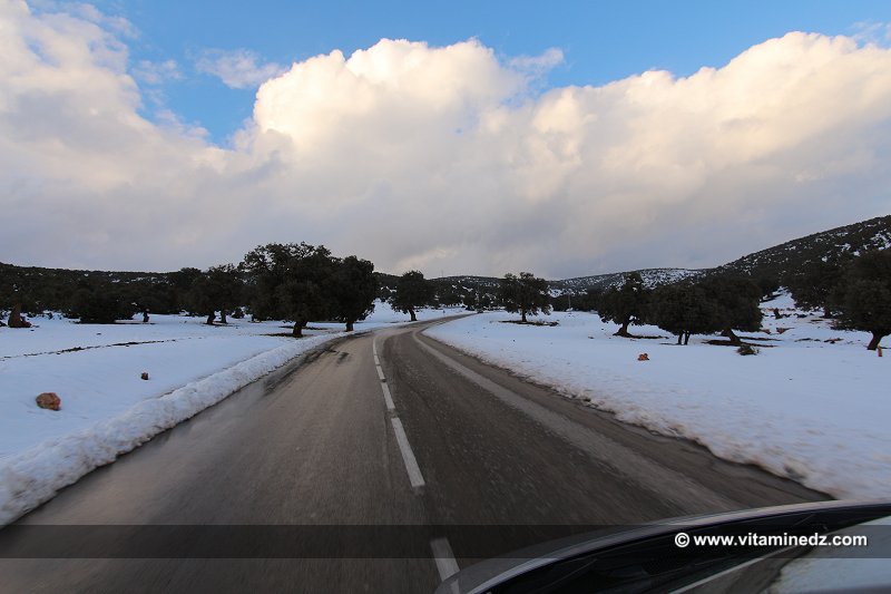 Tlemcen Tirni, Chutes de neige sur les hauteurs de la Wilaya