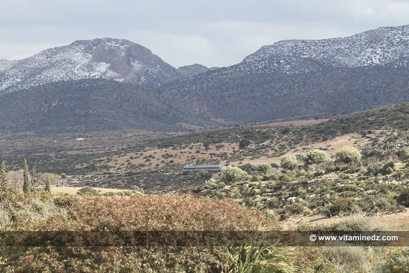 Tlemcen Train sous les montagnes enneigées