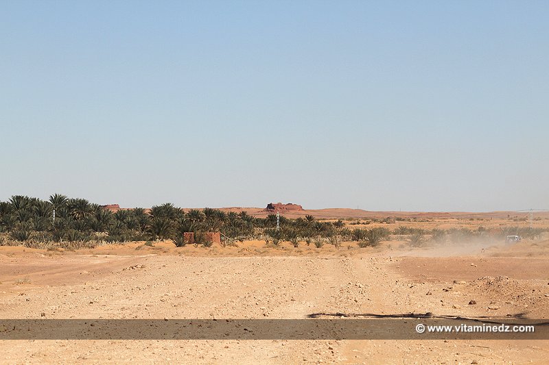 Basalem  Les Ksour perdus du Gourara (entre El Hadj Guelmane et Ksar Kaddour)