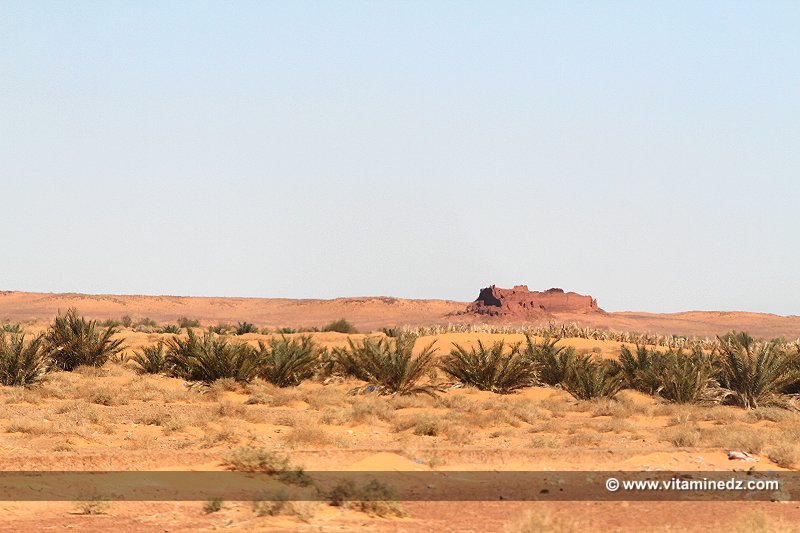 Basalem  Les Ksour perdus du Gourara (entre El Hadj Guelmane et Ksar Kaddour)