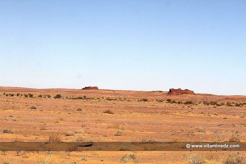Basalem  Les Ksour perdus du Gourara (entre El Hadj Guelmane et Ksar Kaddour)