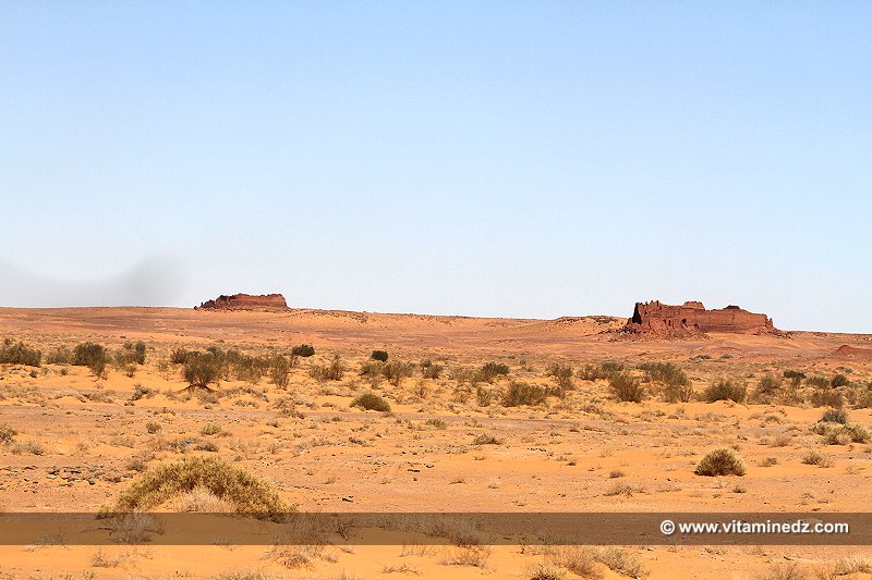 Serie de Ksour perdus du Gourara (Au lieu dit Basalem entre El Hadj Guelmane et Ksar Kaddour)