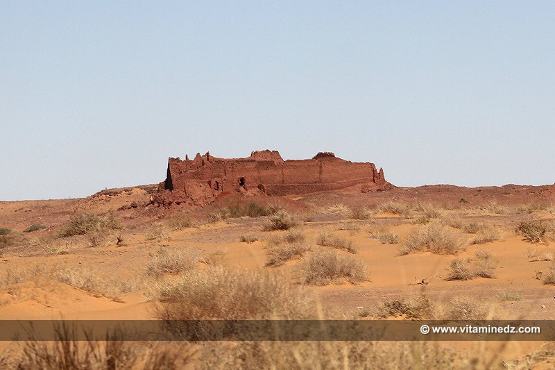 Basalem  Les Ksour perdus du Gourara (entre El Hadj Guelmane et Ksar Kaddour)