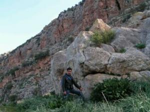 Ibn Ziad (Constantine) - C’était en 2013, naissance de quatre (04) hyènes rayées à El Anab