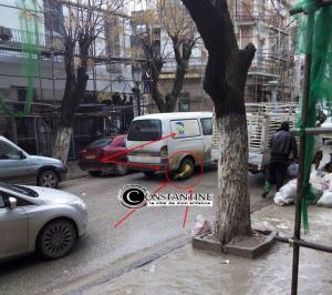 Constantine - SOS, les arbres de la ville sont bétonnés, ils meurent...!